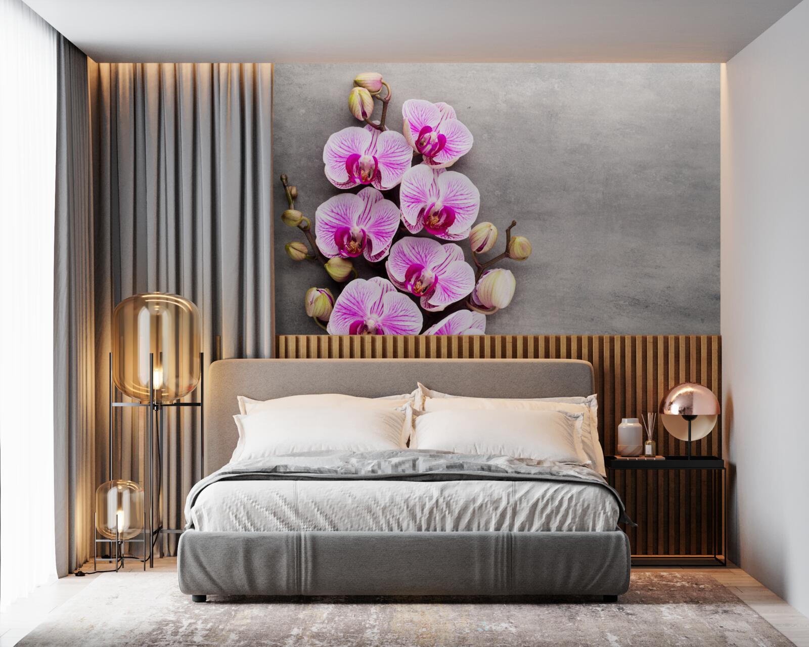 Fotobehang lila en witte orchidee