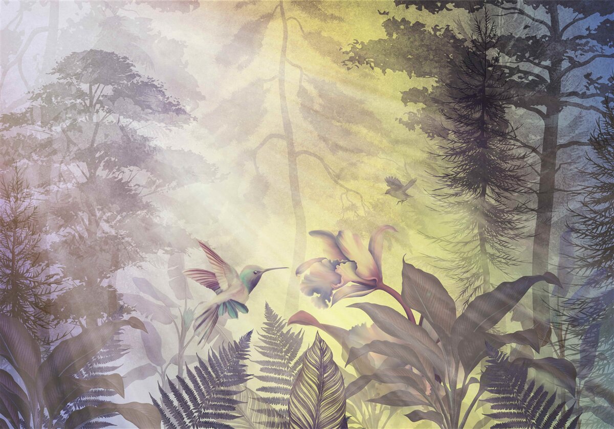 Fotobehang een bos loofbomen onder zonnestralen