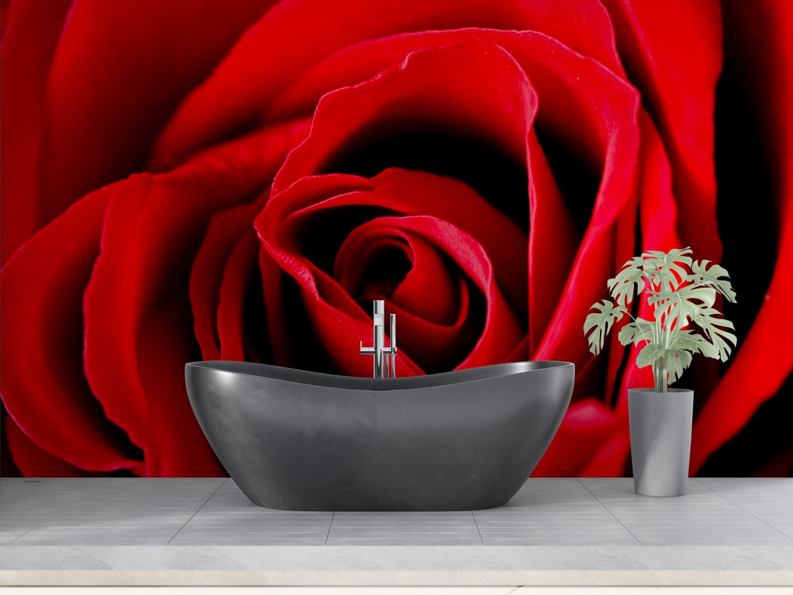 Fotobehang prachtige scharlakenrode roos