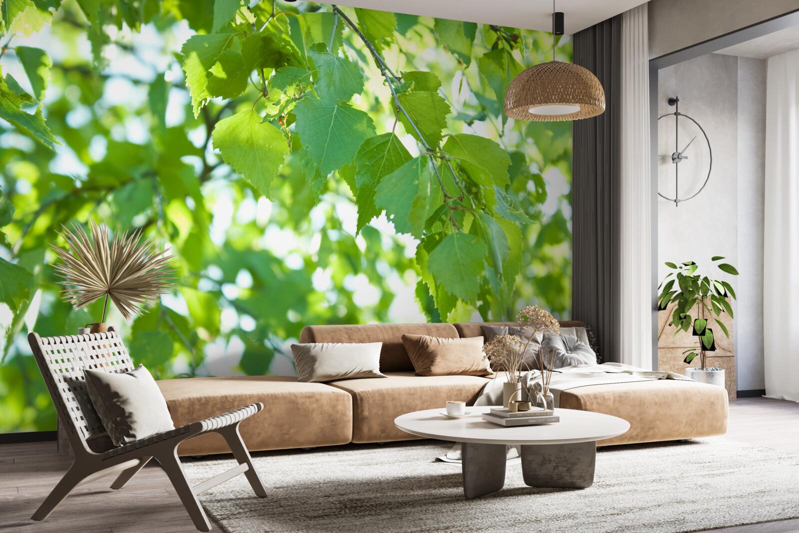 Fotobehang berkenbladeren tegen een blauwe lucht