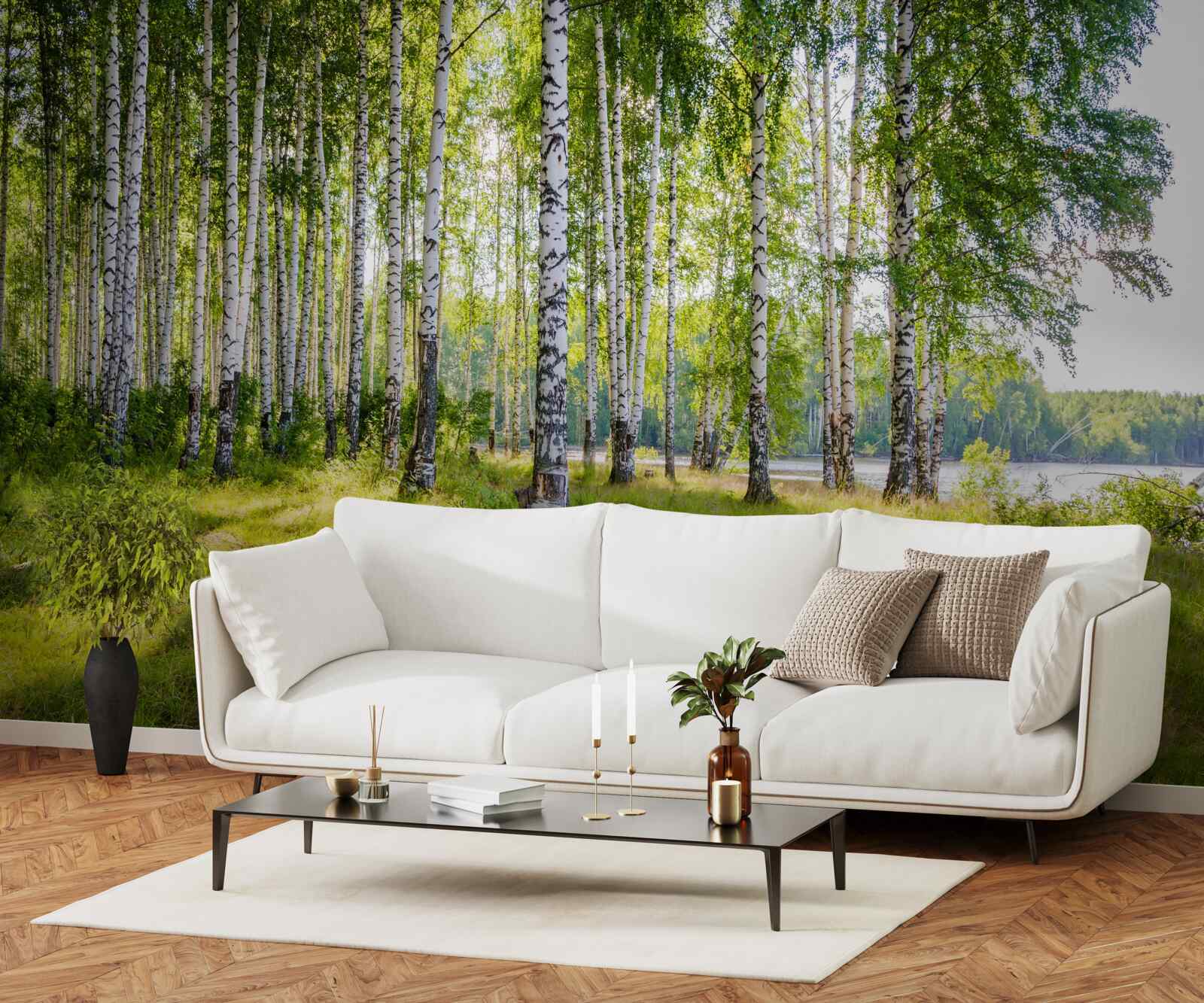 Fotobehang Dageraad in het groene berkenbosje