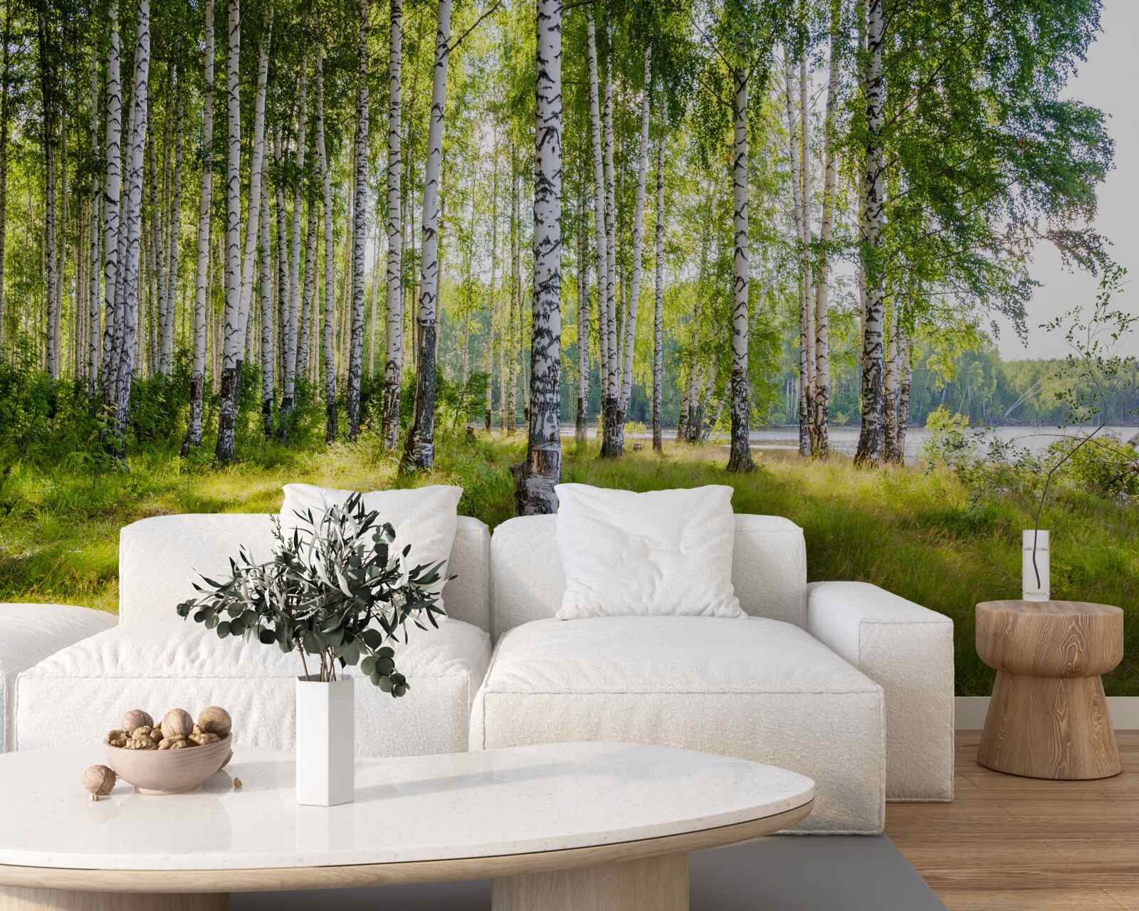 Fotobehang Dageraad in het groene berkenbosje