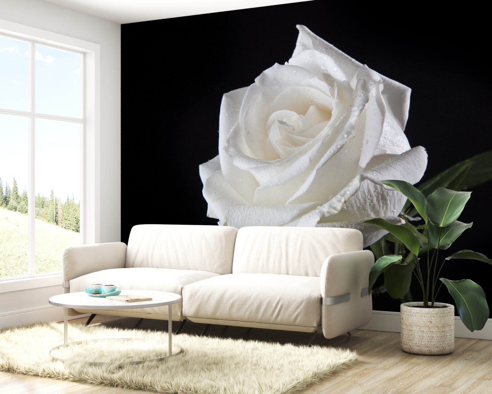 Fotobehang zwarte achtergrond benadrukt het wit van de roos