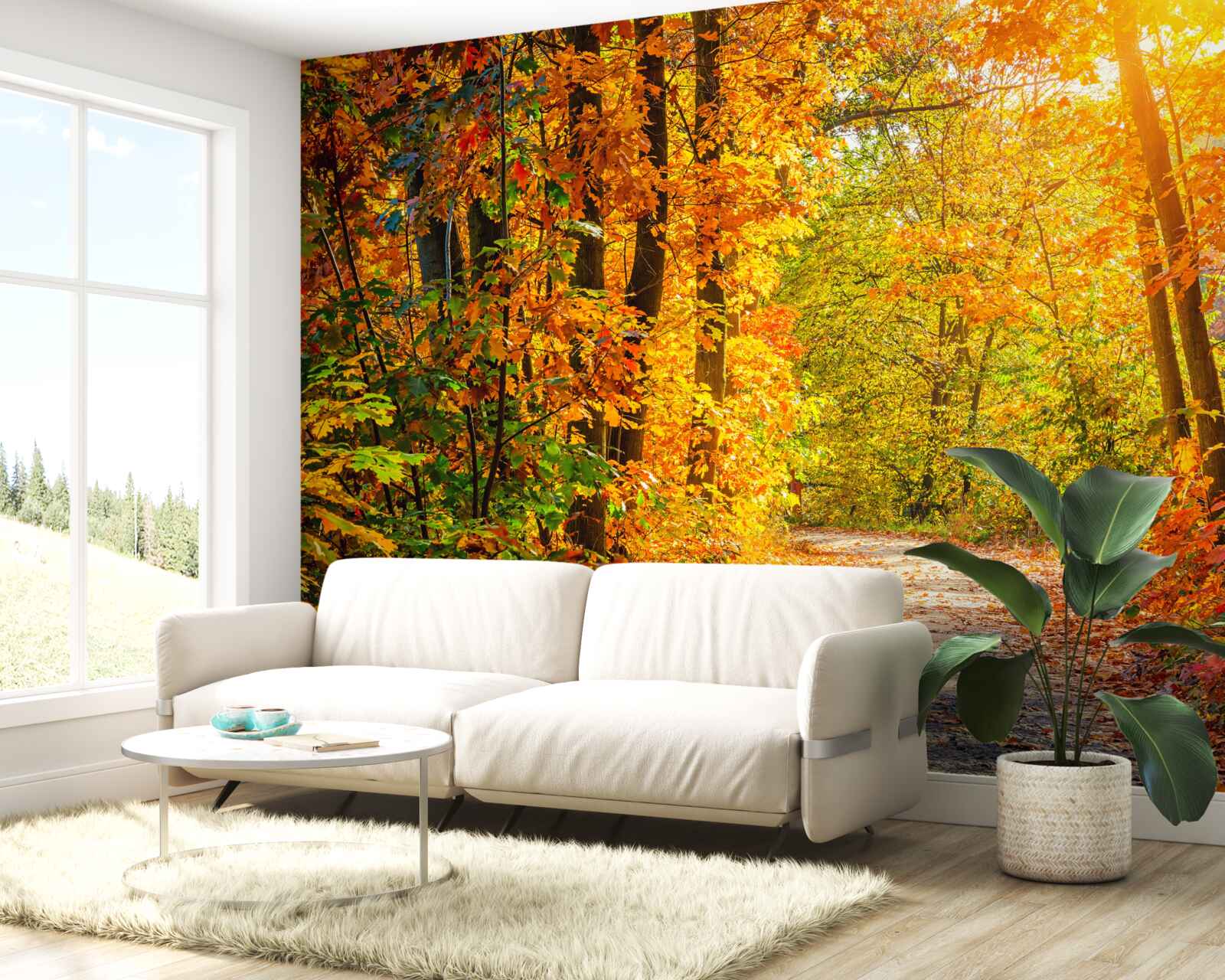 Fotobehang zonsondergang met herfstzon