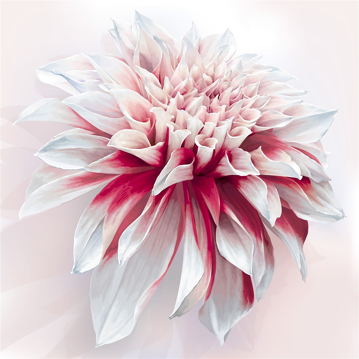 Fotobehang prachtige astra donut in rood en wit