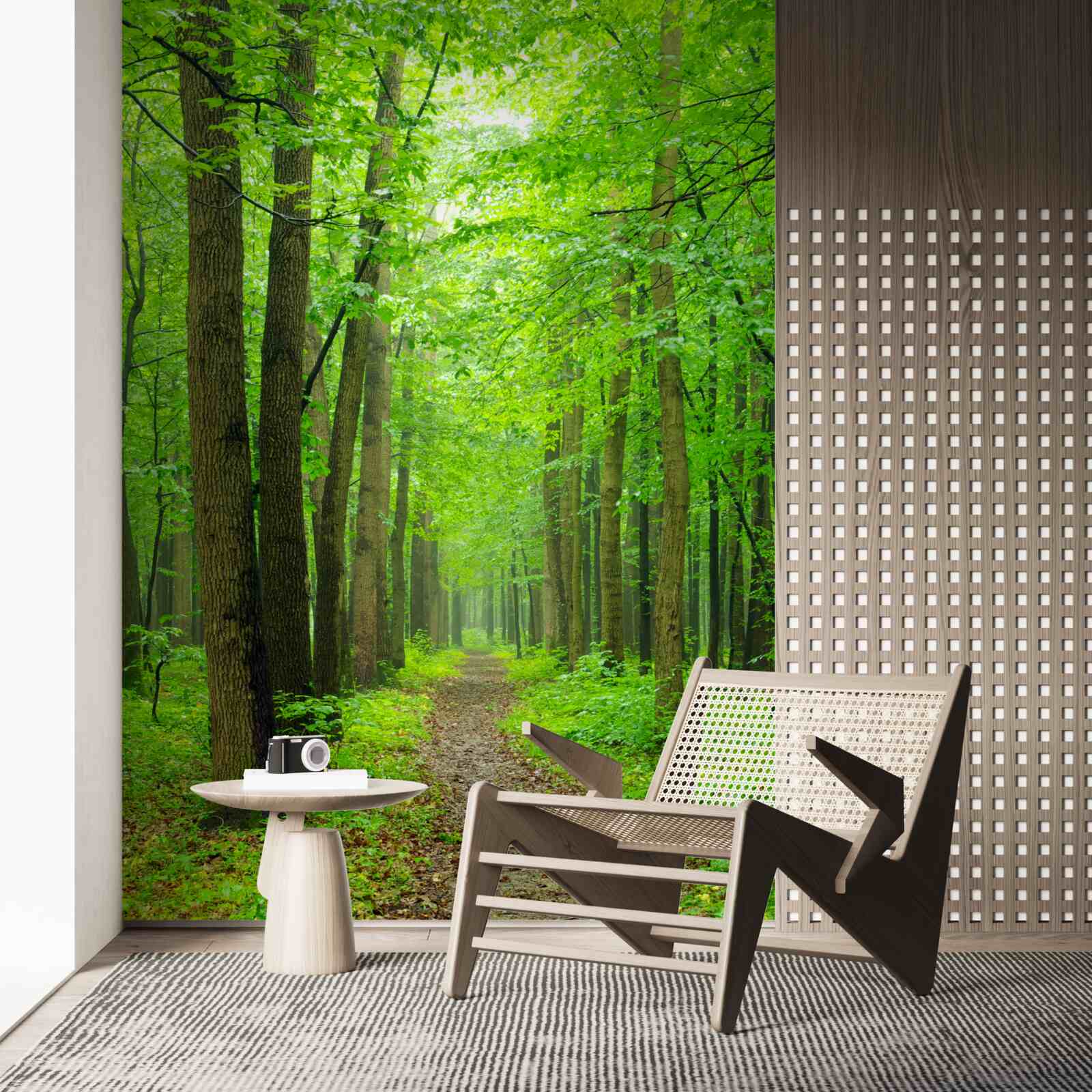 Fotobehang een comfortabel pad door een sierlijk loofbos