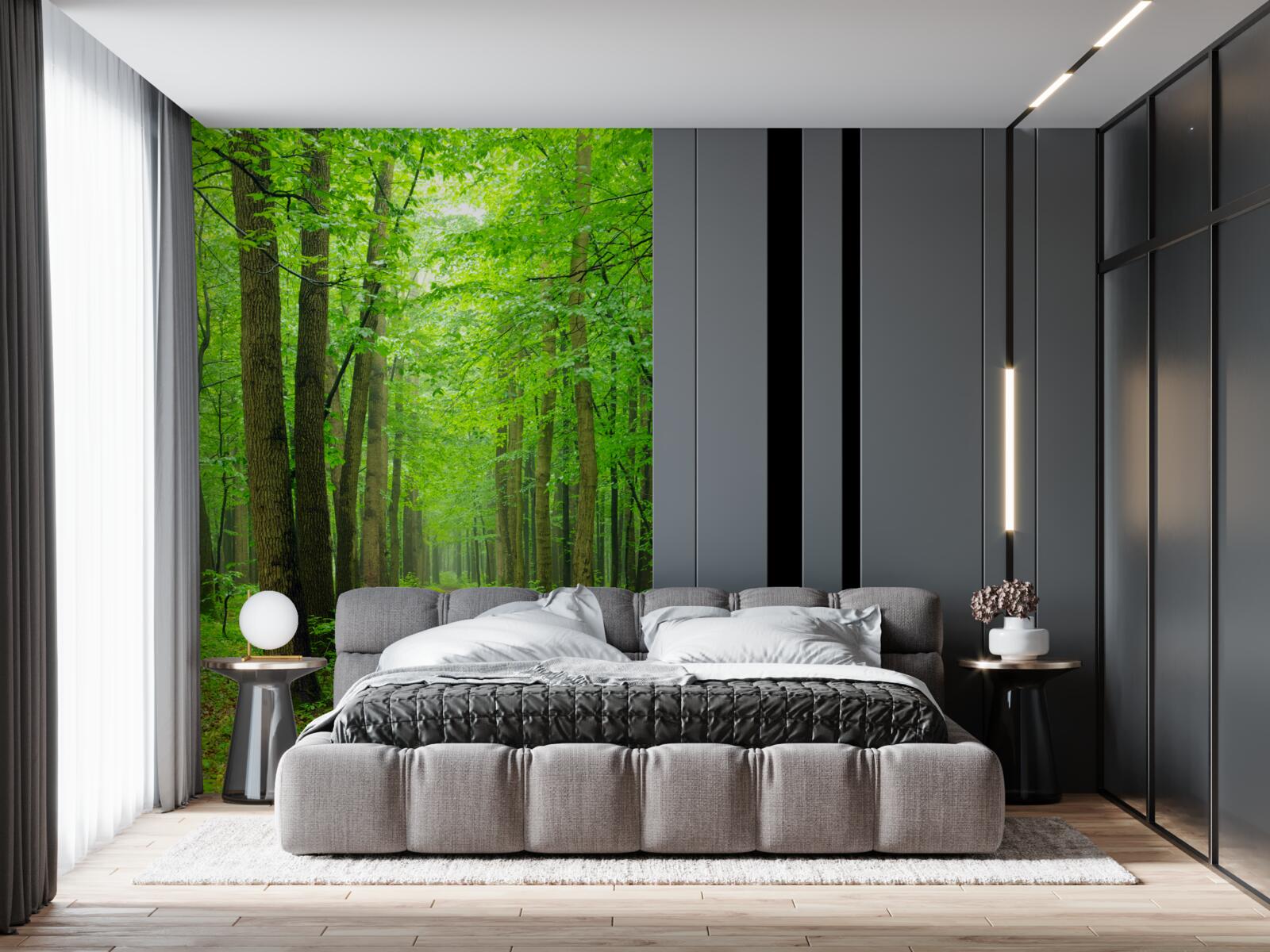 Fotobehang een comfortabel pad door een sierlijk loofbos