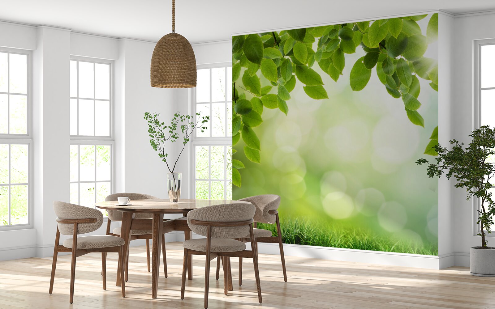 Fotobehang de zon in haar helderheid en bladeren versierd met groene druppels