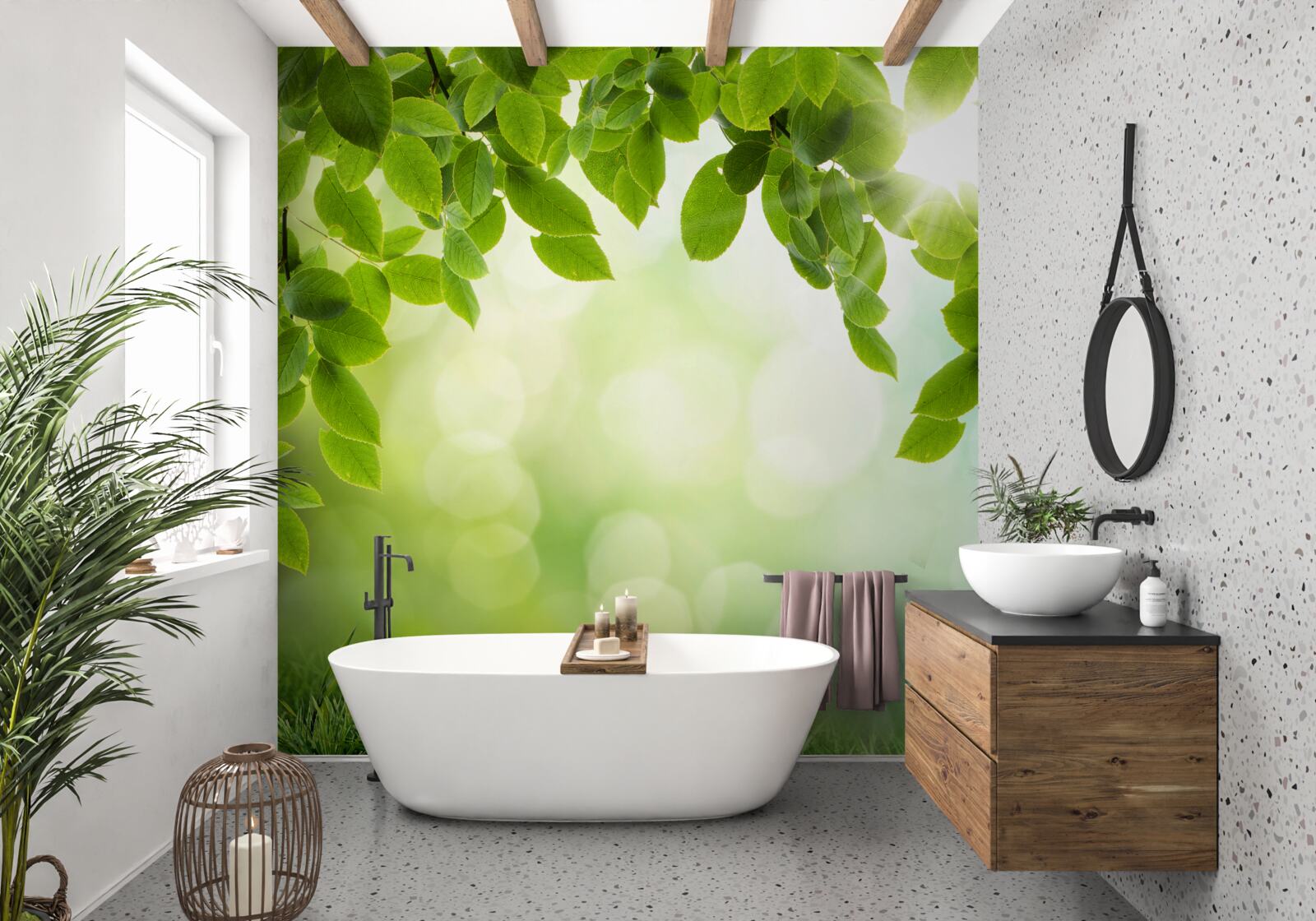 Fotobehang de zon in haar helderheid en bladeren versierd met groene druppels