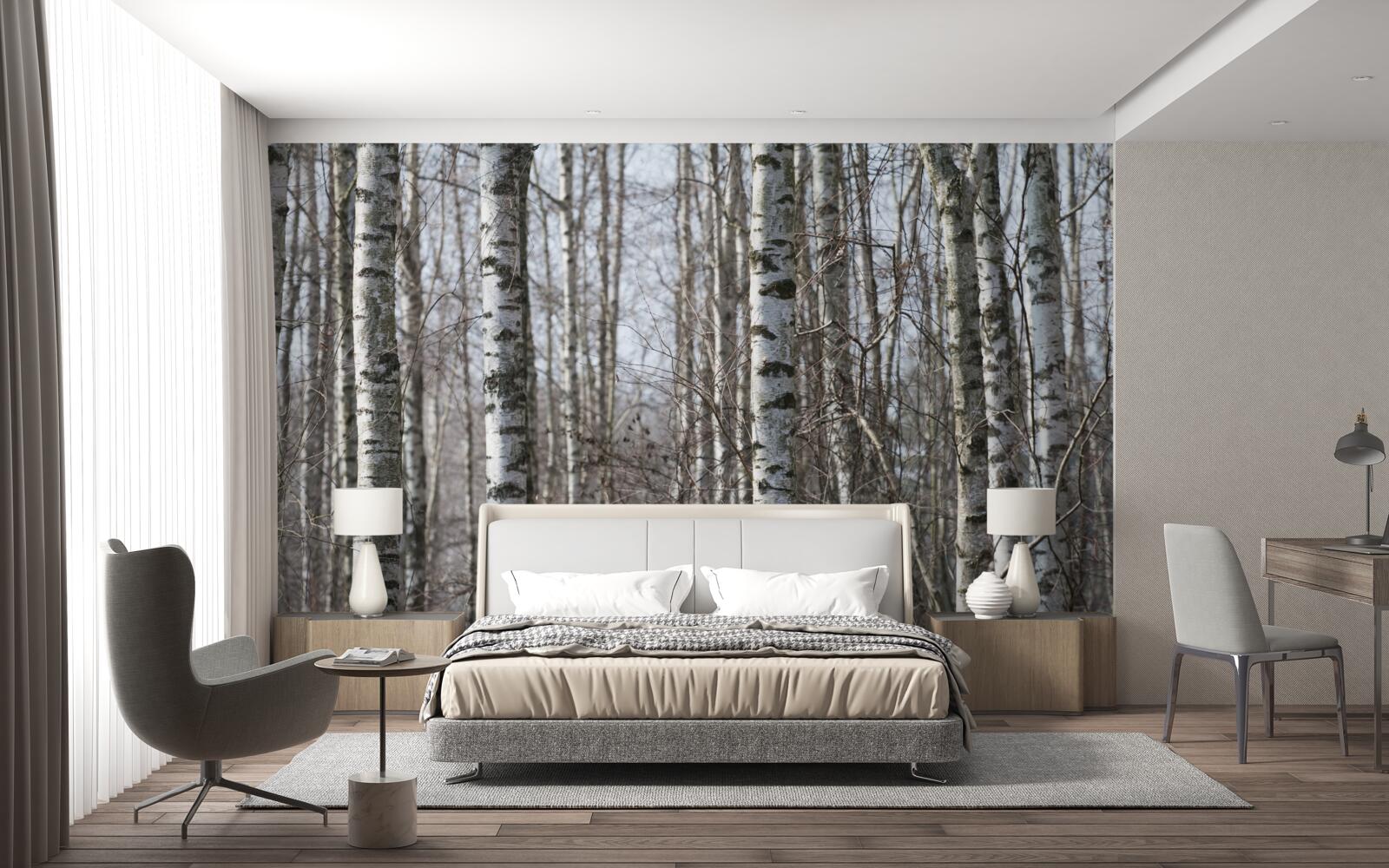 Fotobehang omgevallen sierlijke berken