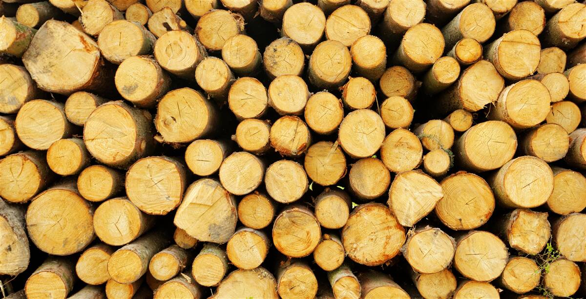 Fotobehang stapel gekapt brandhout