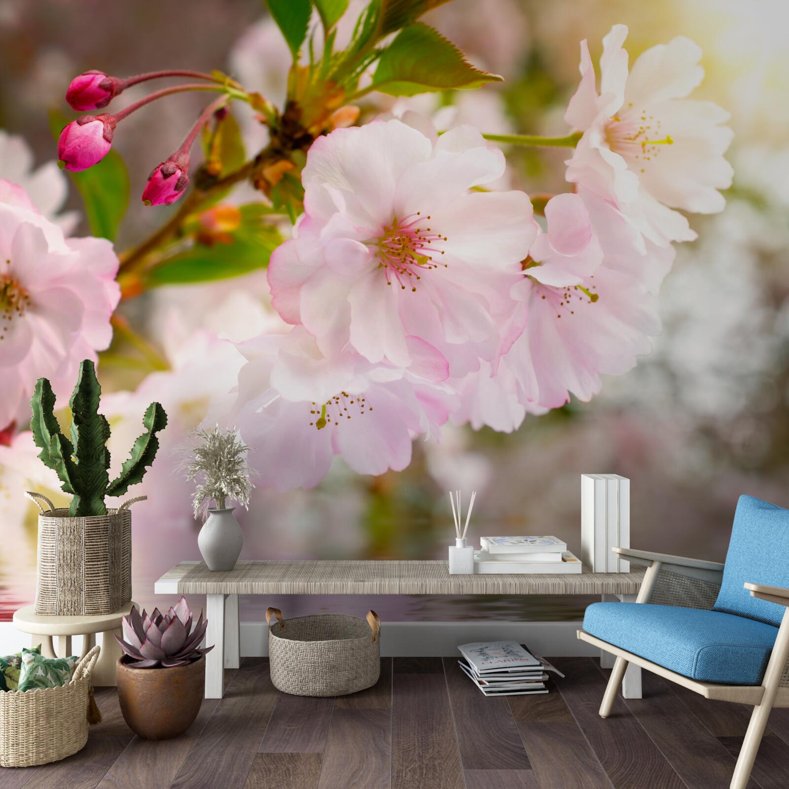 Fotobehang takken van kersenbomen met roze bloesems hangen over het water
