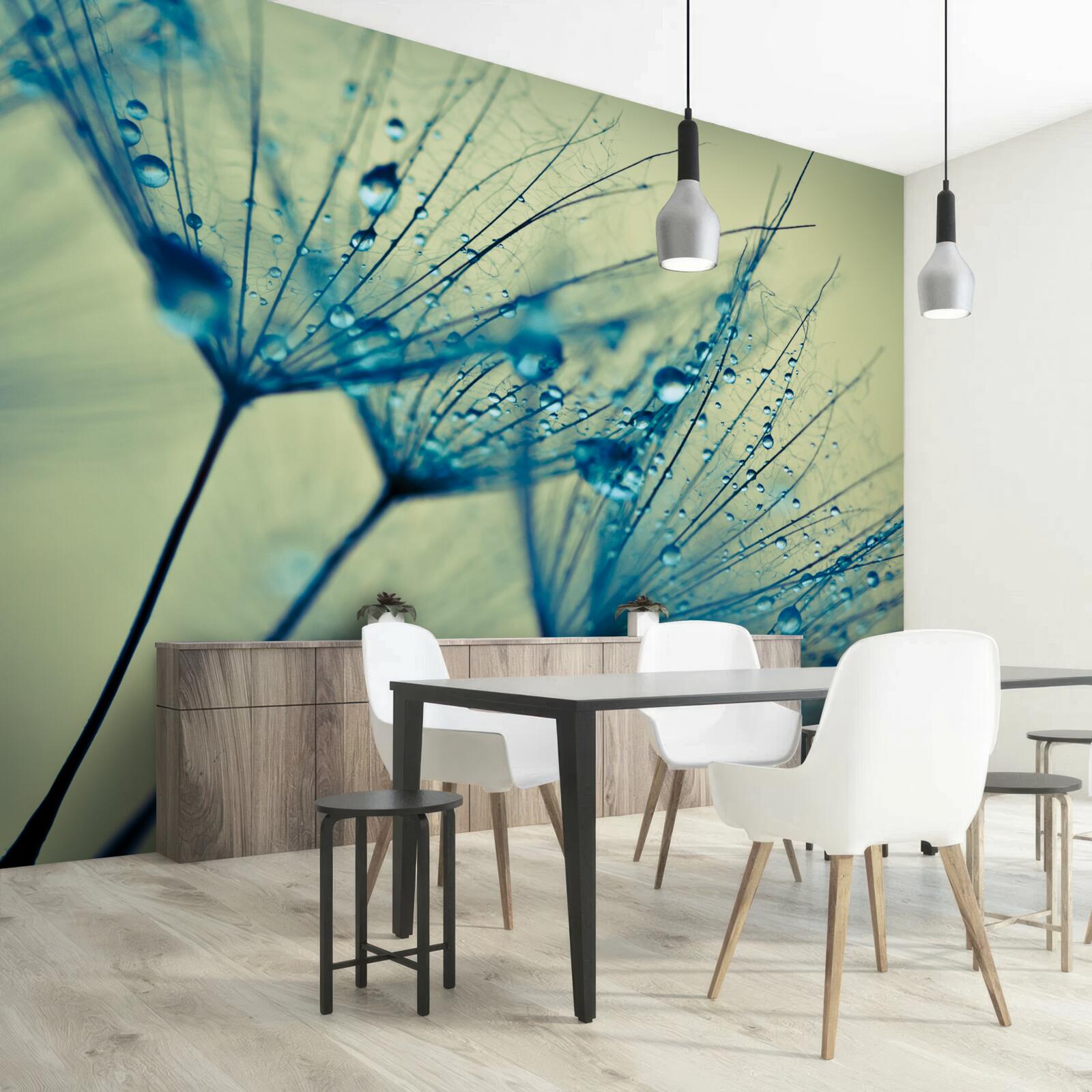 Fotobehang paardenbloem versierd met waterdruppels