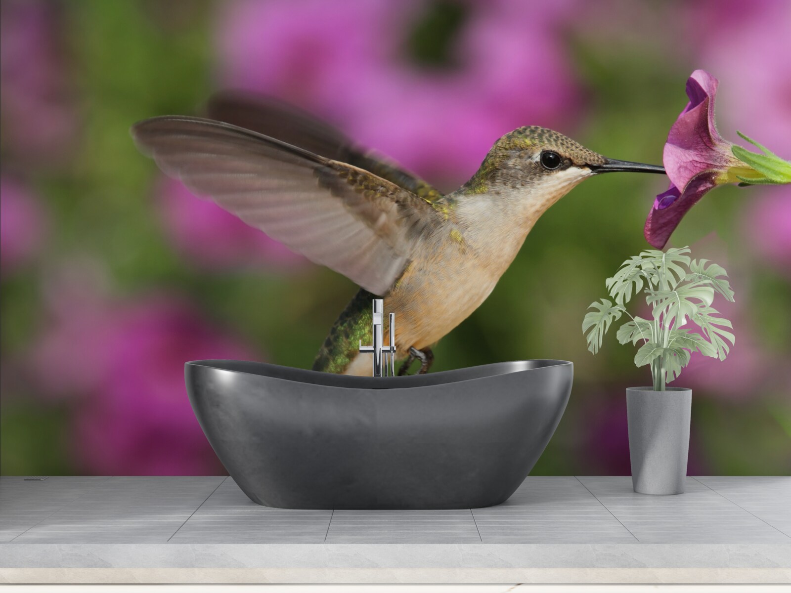 Fotobehang nectar lest de dorst van kolibries