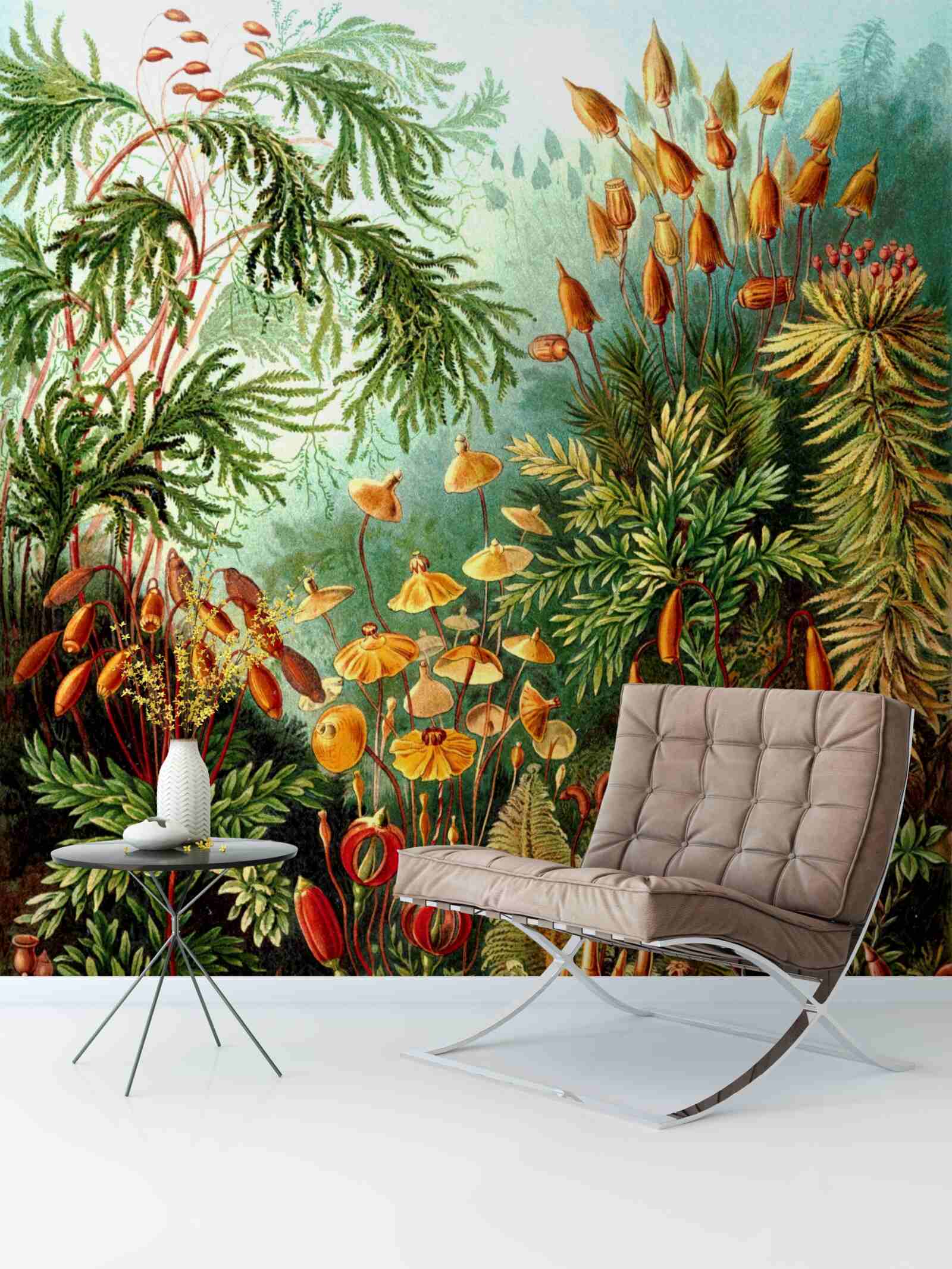 Fotobehang prachtige regenwoudtinten