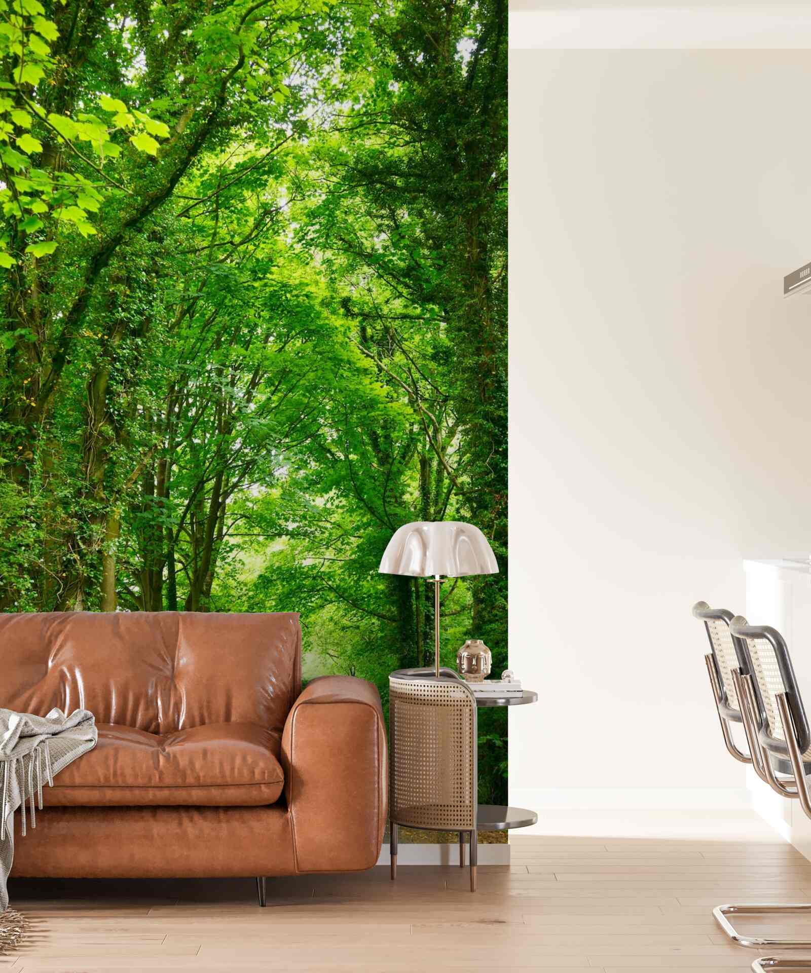 Fotobehang bogen van groene bomen steken boven het pad uit