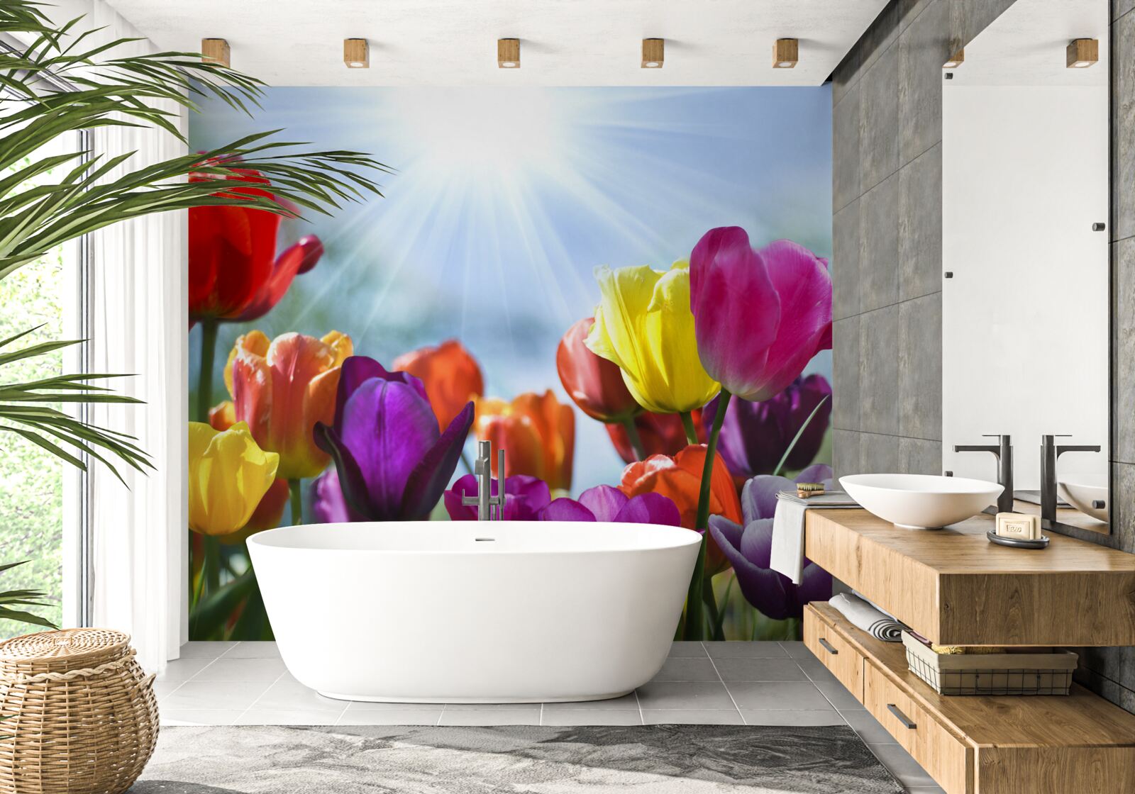 Fotobehang tulpen in verschillende kleuren in de zon