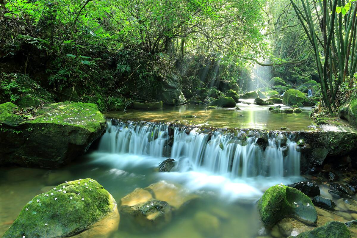 Fotobehang waterval die luidruchtig brede stromen door het groen laat lopen, verlicht door zonnestralen