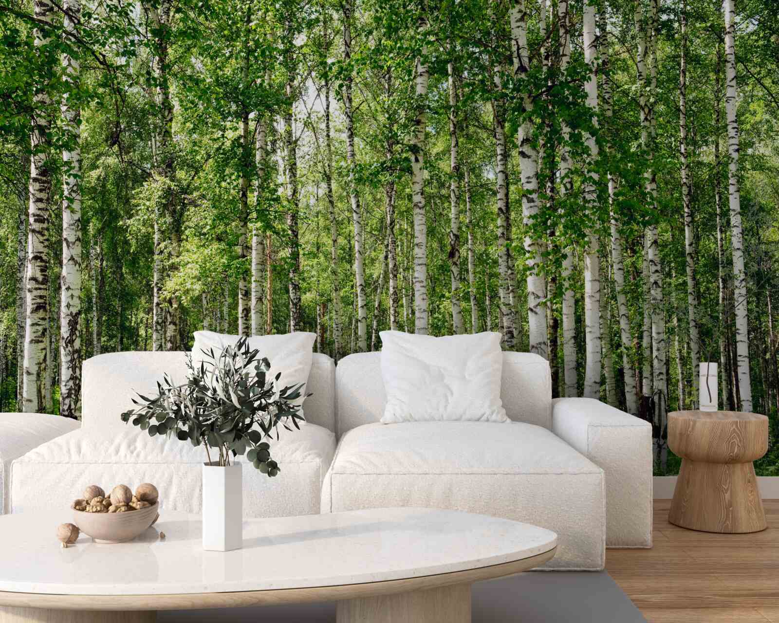 Fotobehang slank berkenbos