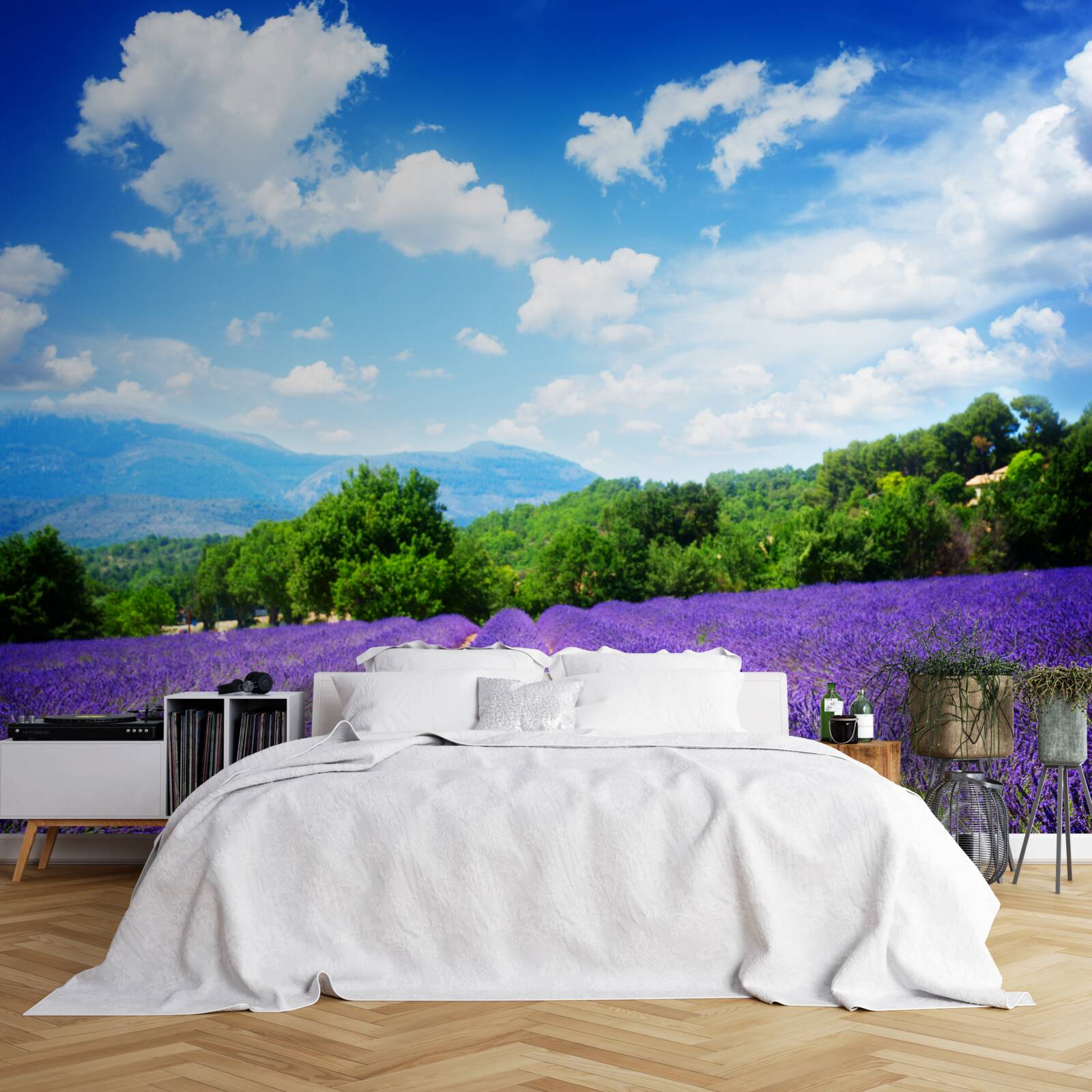 Fotobehang eindeloze stukken zachte lavendel