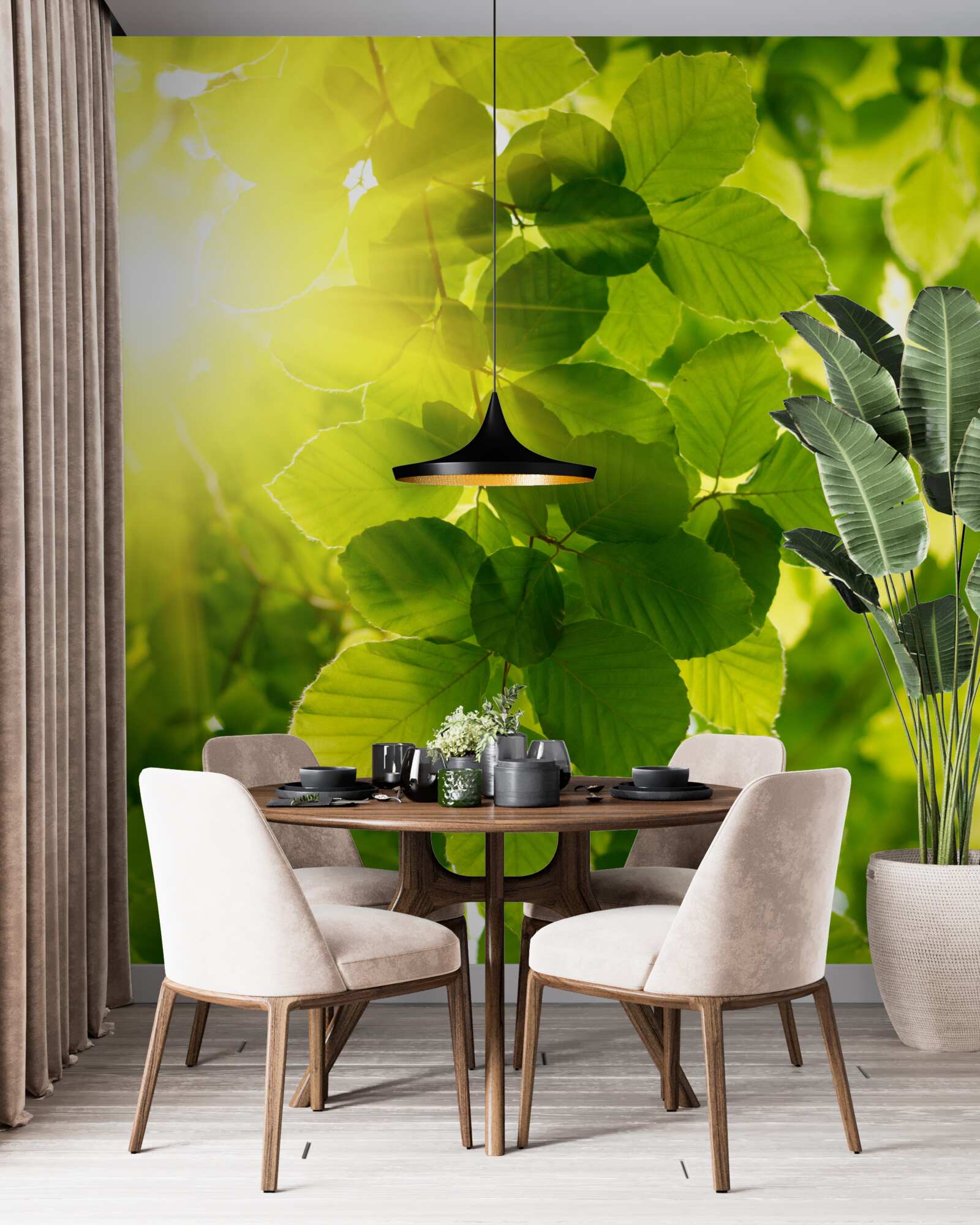 Fotobehang het ochtendlicht van de zon begroet de groene bladeren