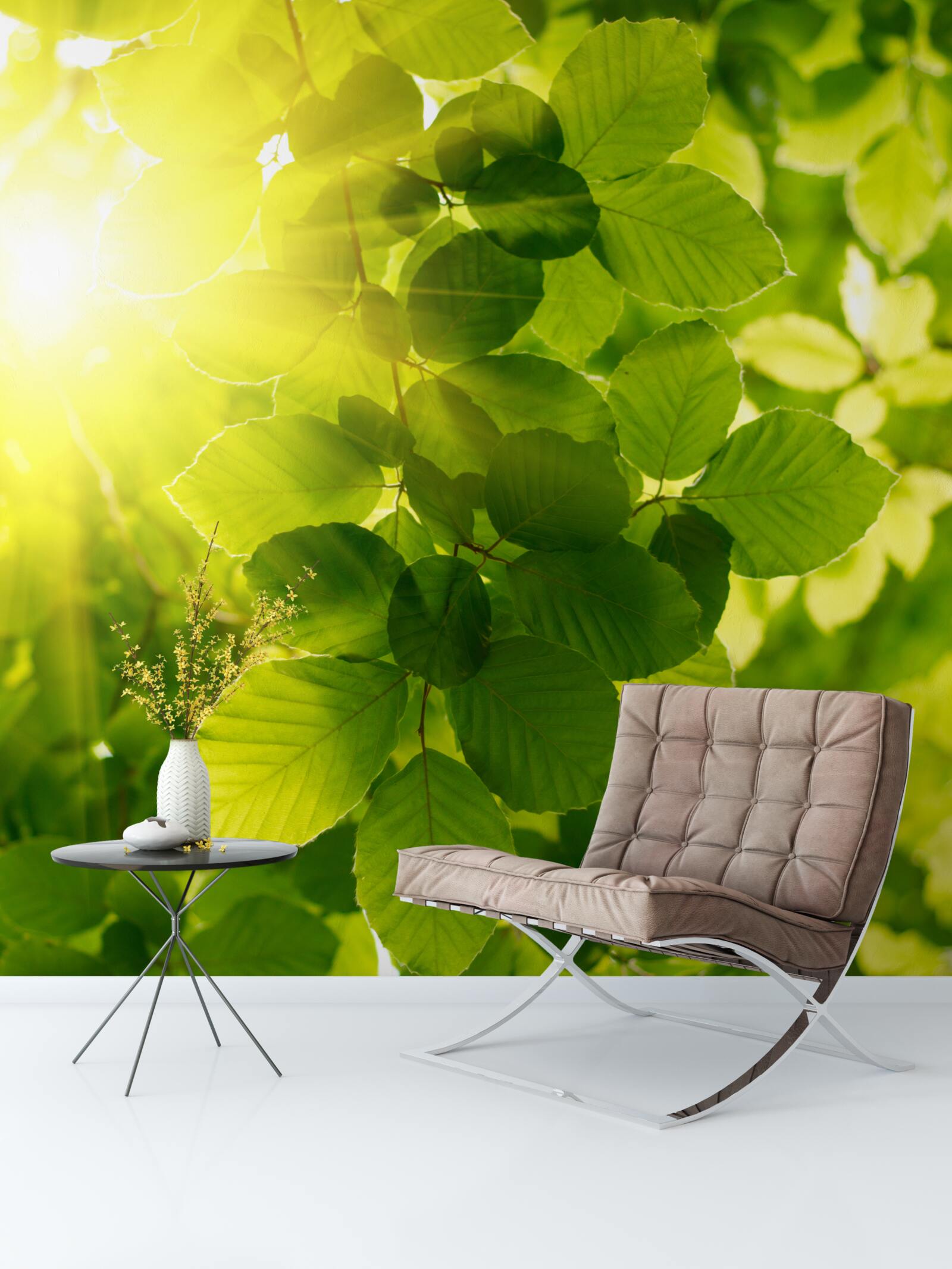 Fotobehang het ochtendlicht van de zon begroet de groene bladeren