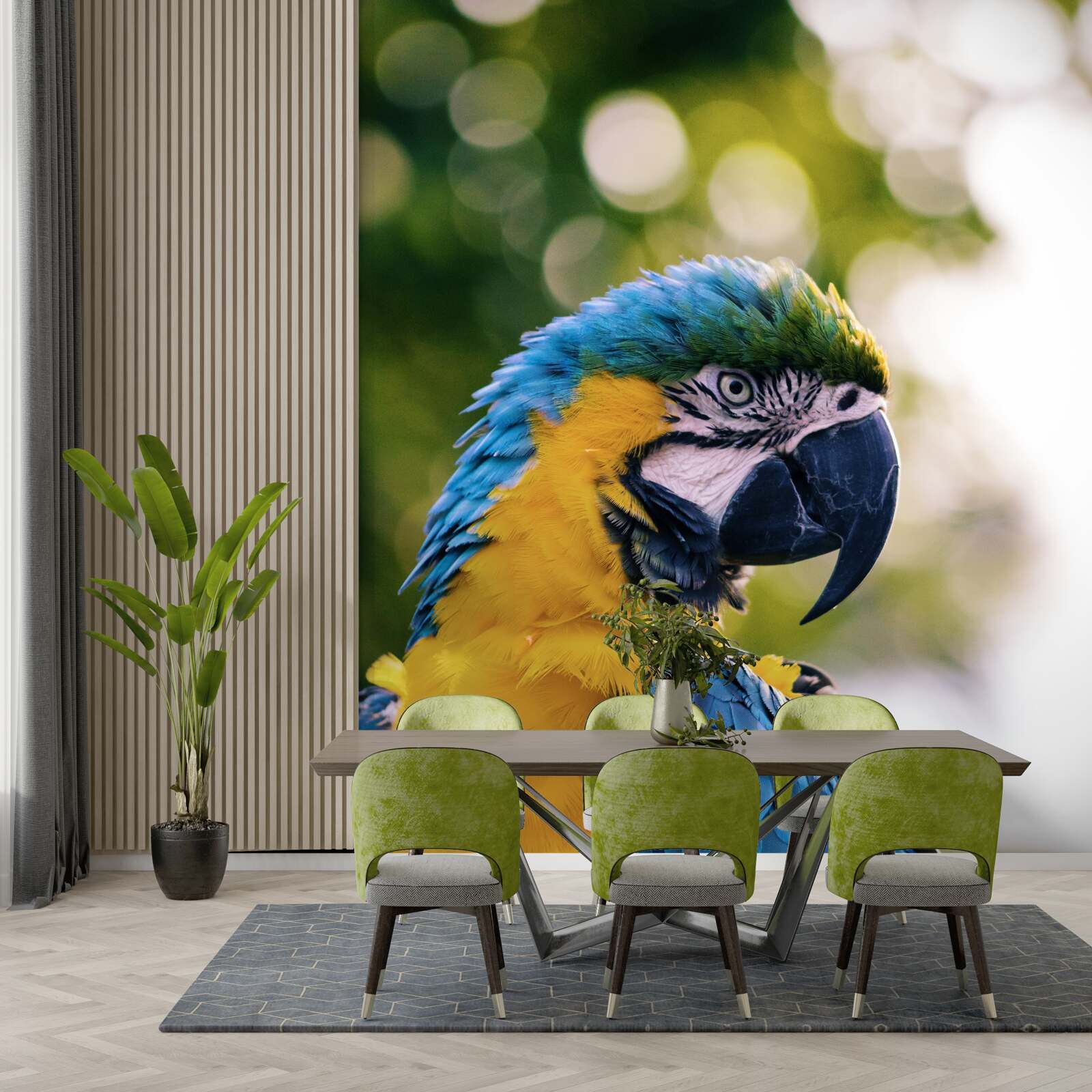 Fotobehang beeld van een aantrekkelijke papegaai