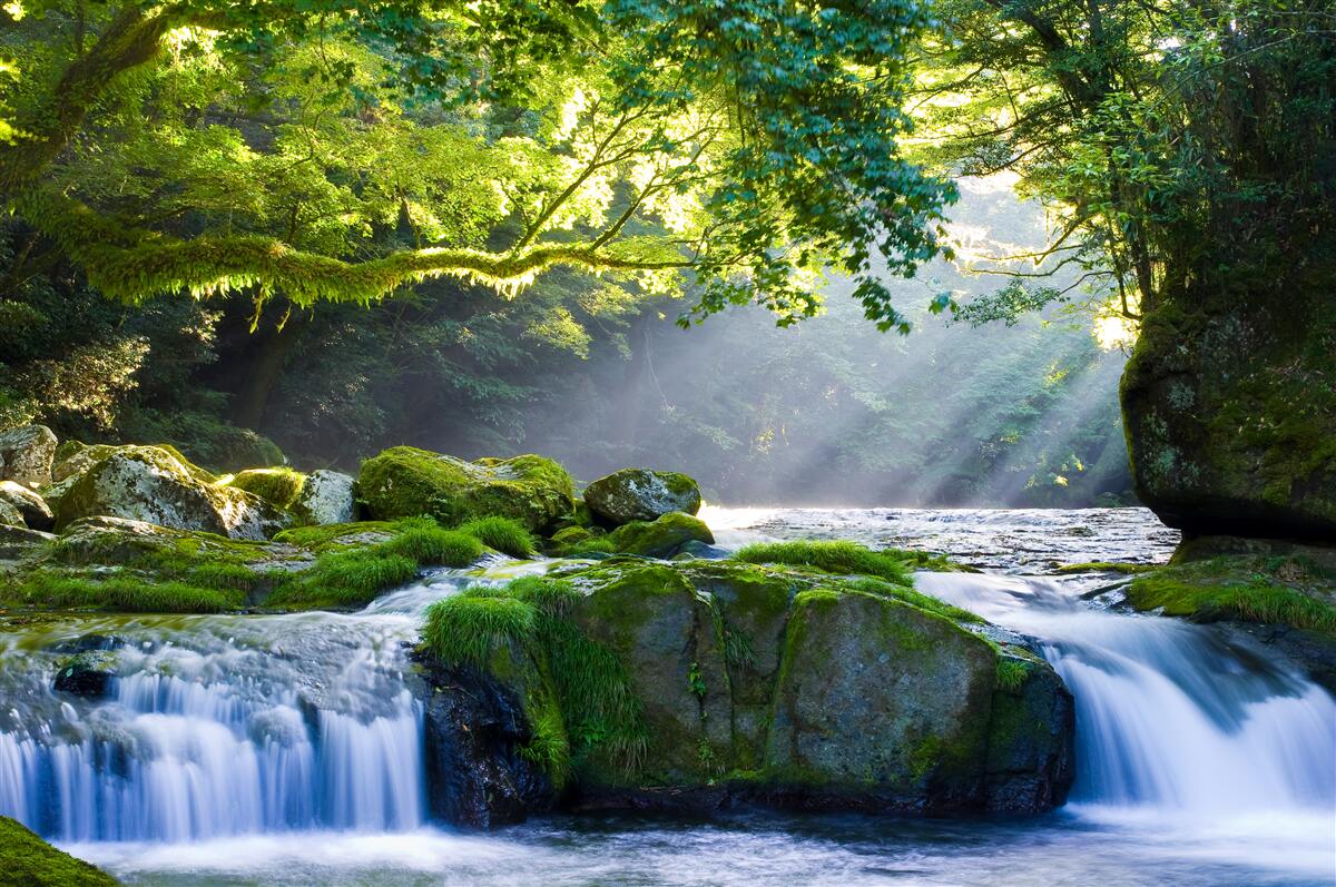 Fotobehang de zonnestralen bereiken de boswaterval