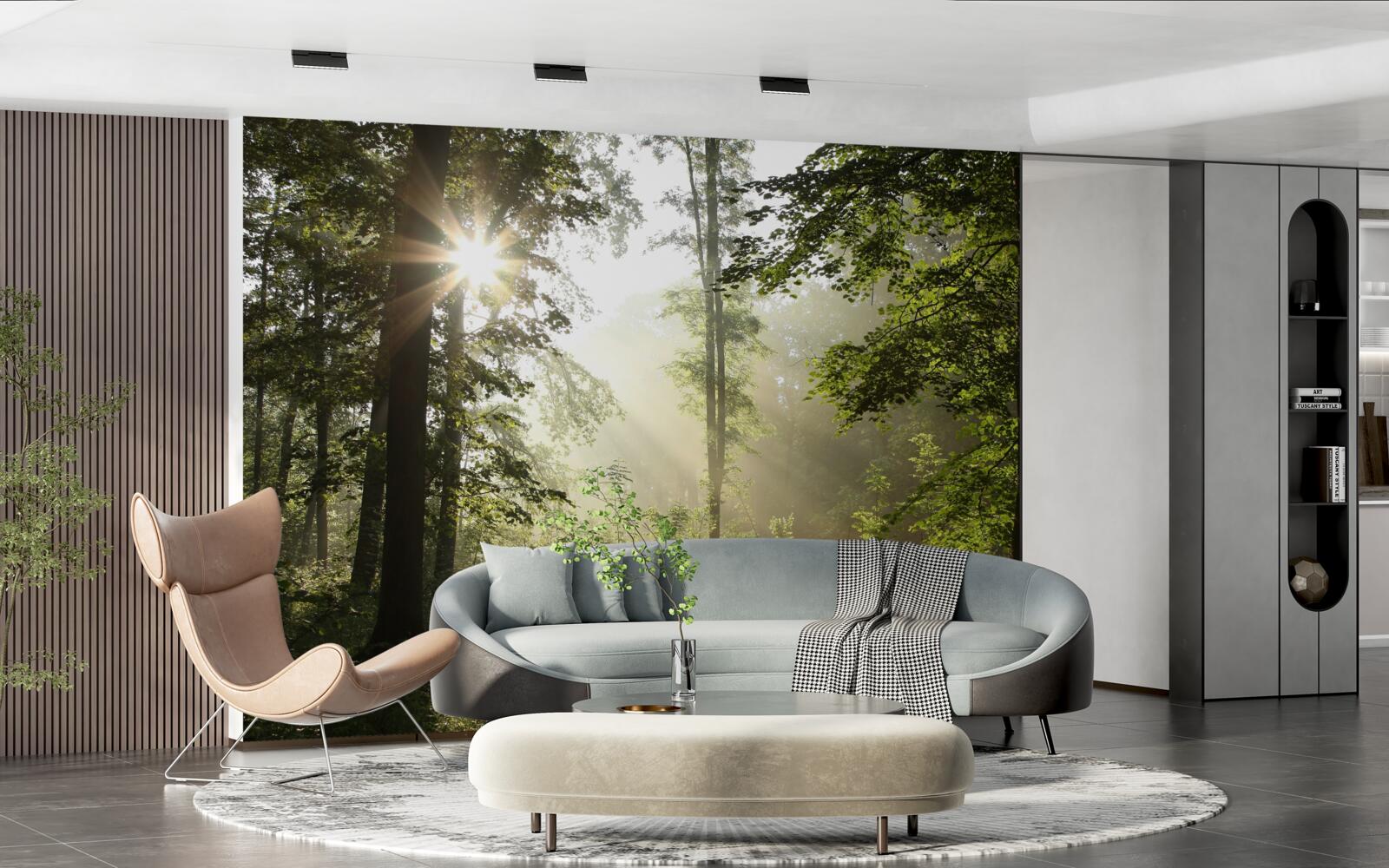 Fotobehang de zonnestralen weren de nachtelijke kilte van de bomen af