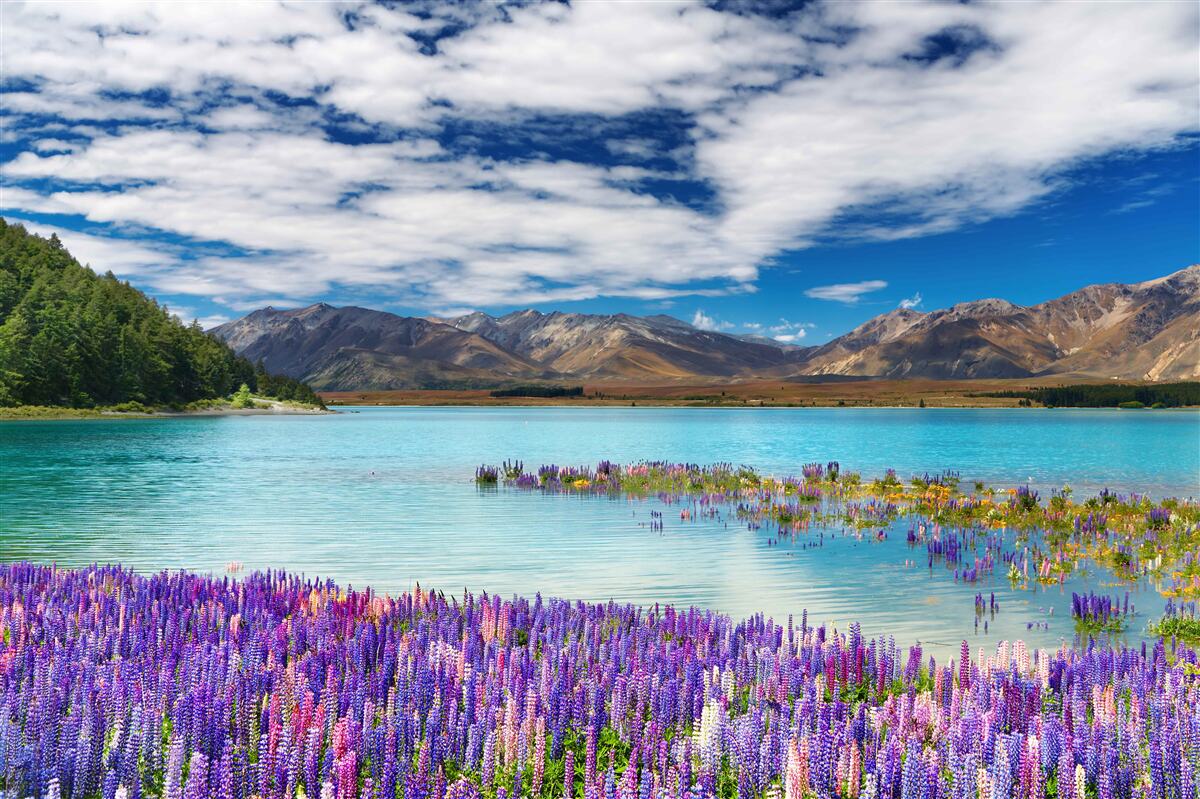 Fotobehang bloemen weerspiegelen in het kristalheldere water van een bergmeer
