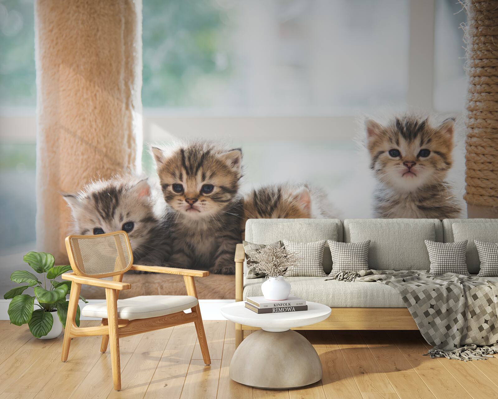 Fotobehang babykatten zoeken moeder