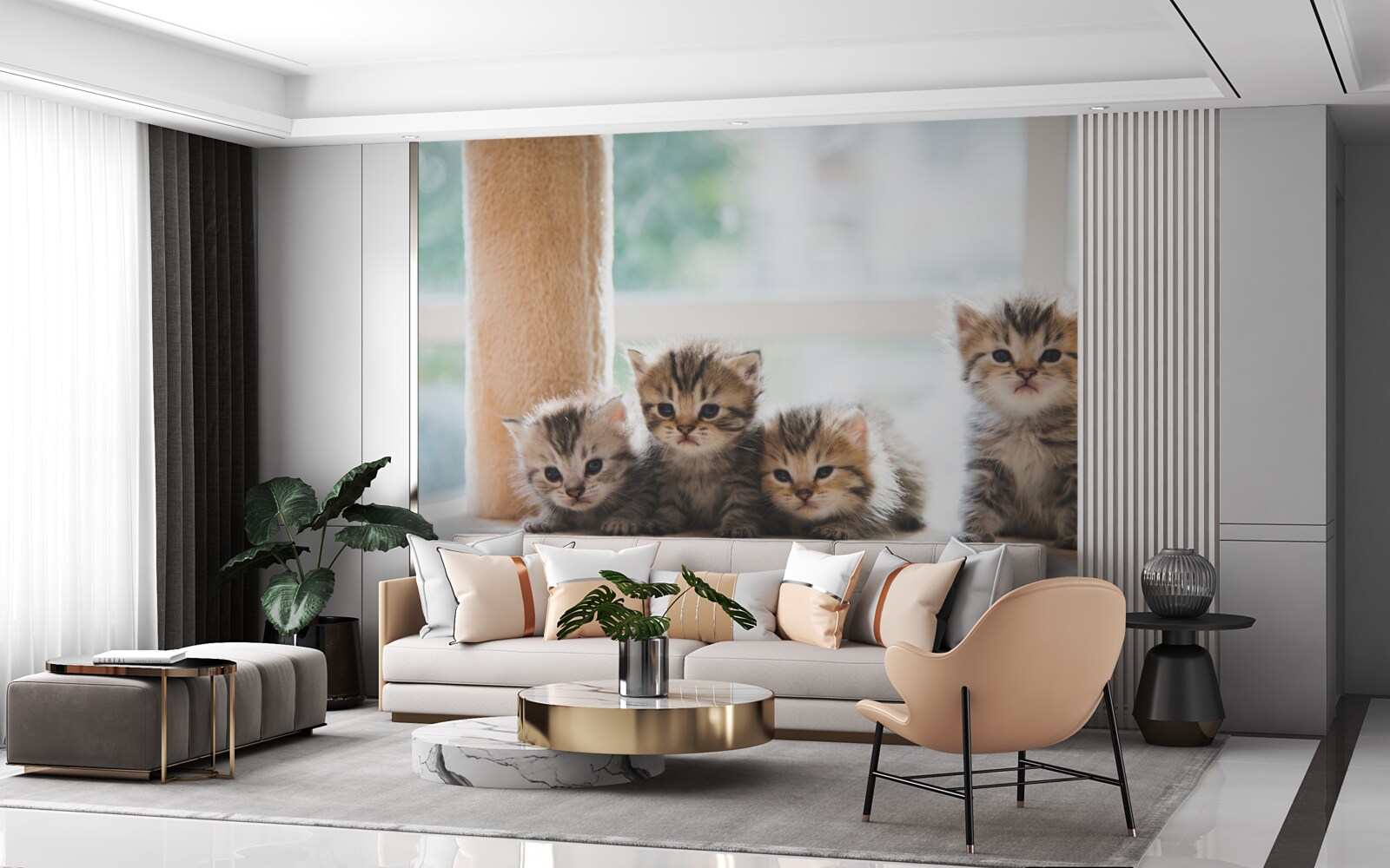 Fotobehang babykatten zoeken moeder