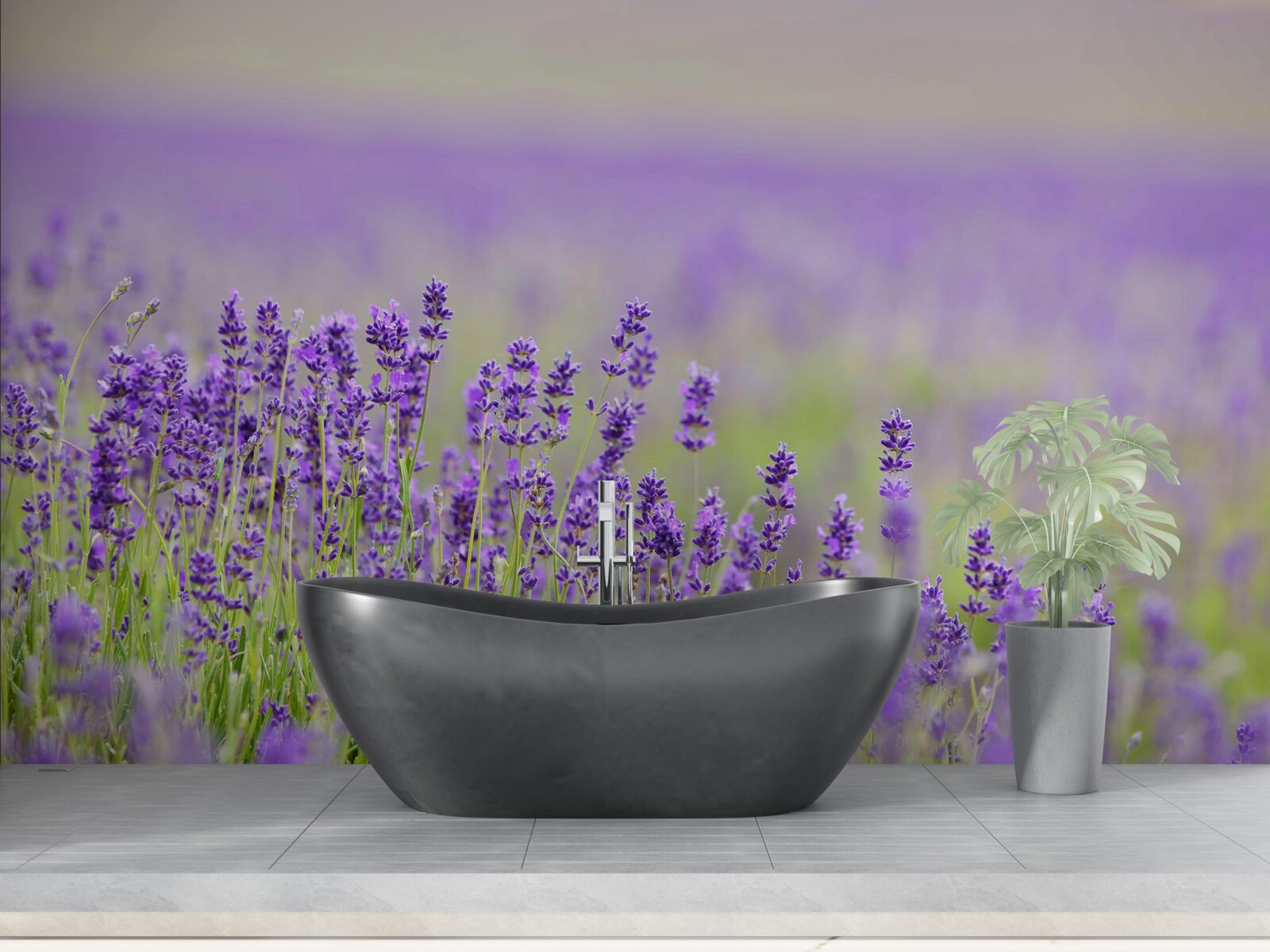 Fotobehang lavendelvelden