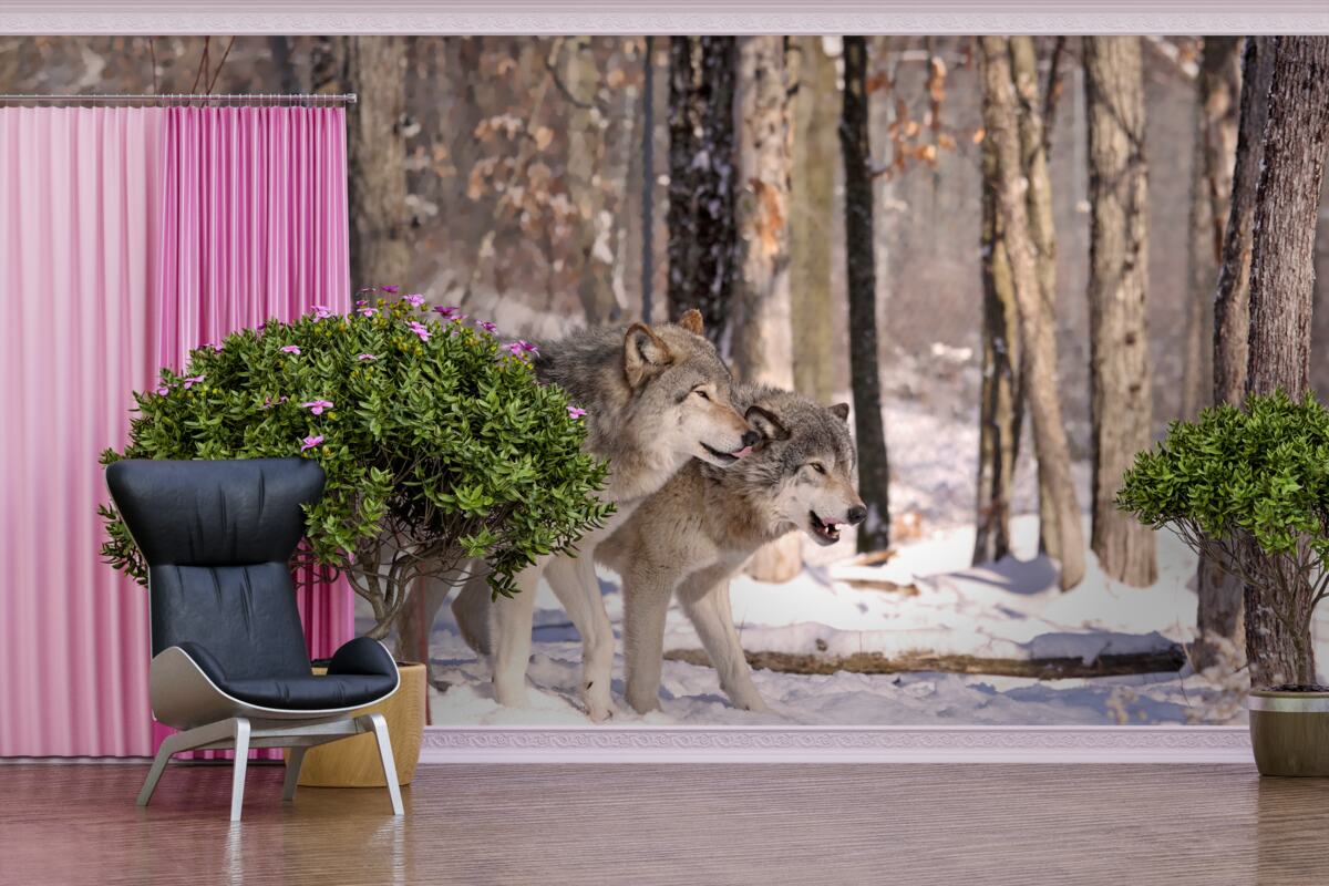 Fotobehang een groep wolven loopt door een winters bosschage