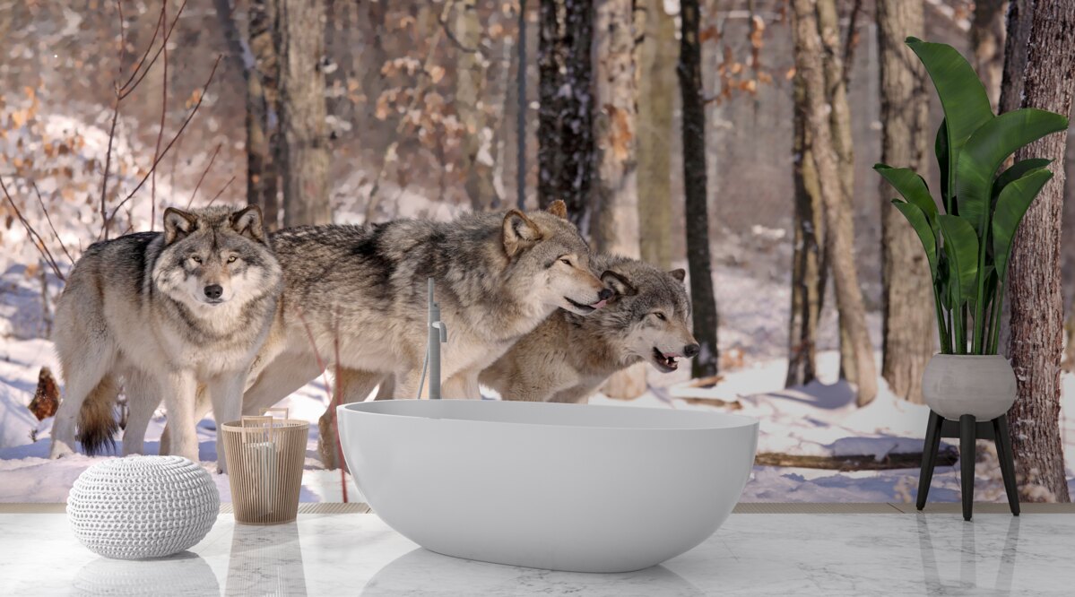 Fotobehang een groep wolven loopt door een winters bosschage