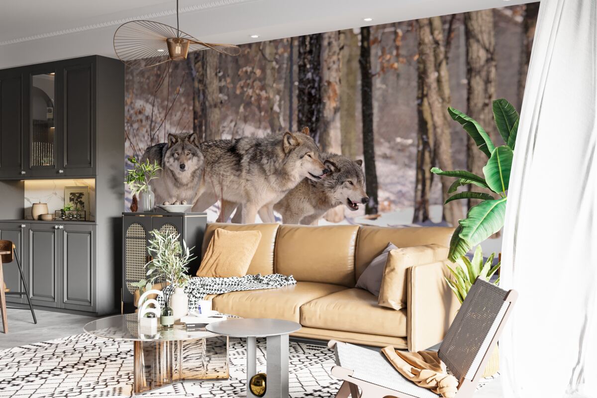 Fotobehang een groep wolven loopt door een winters bosschage