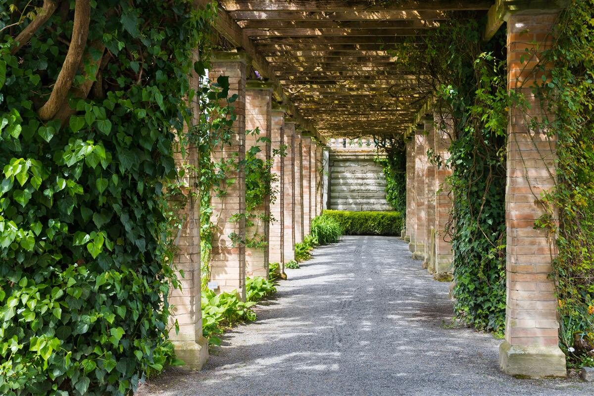 Fotobehang fascinerende bruine tunnel omringd door groene planten