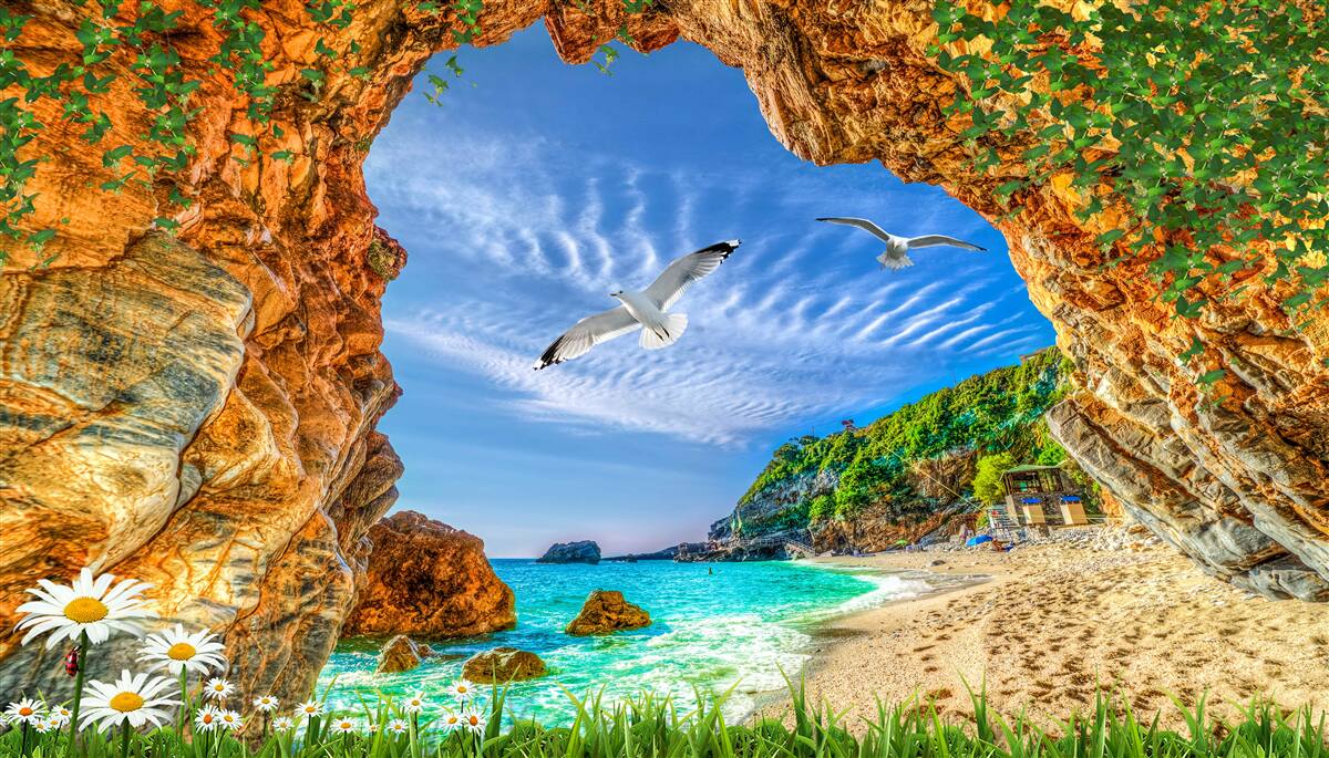 Fotobehang Een blik op de oceaan en de vlucht van kauwen