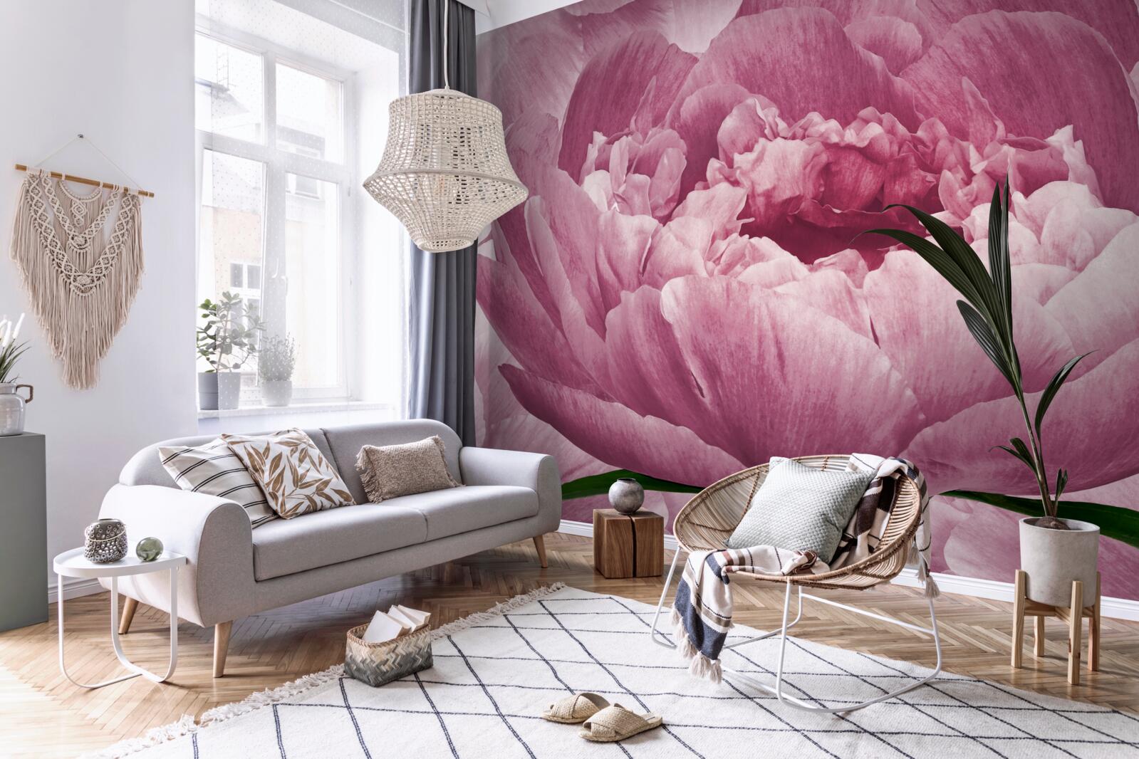 Fotobehang overvloedige roze asterbloem