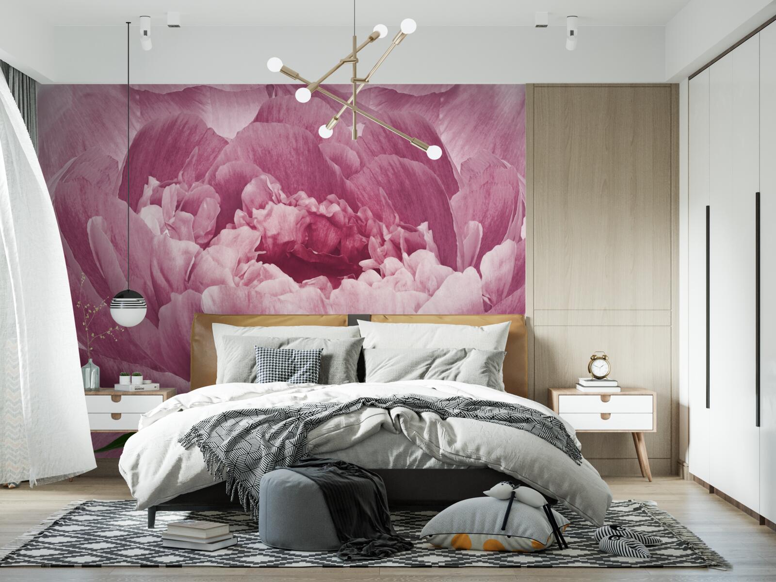 Fotobehang overvloedige roze asterbloem