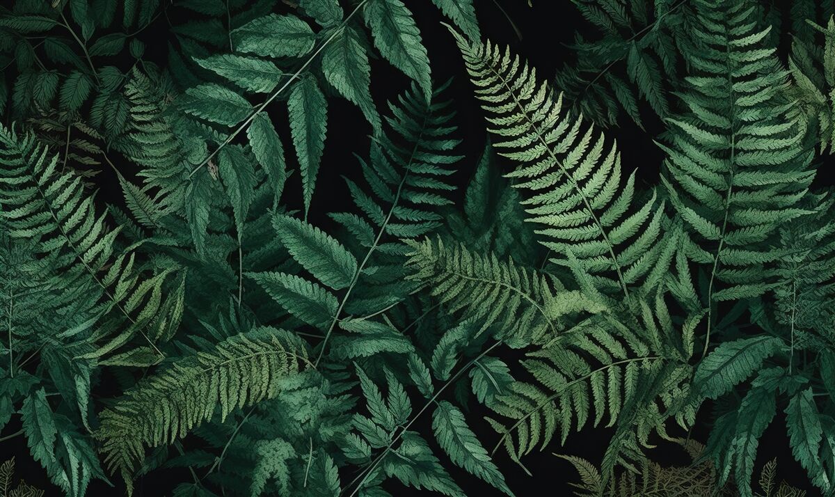 Fotobehang 's nachts wiegen de varenblaadjes gemakkelijk