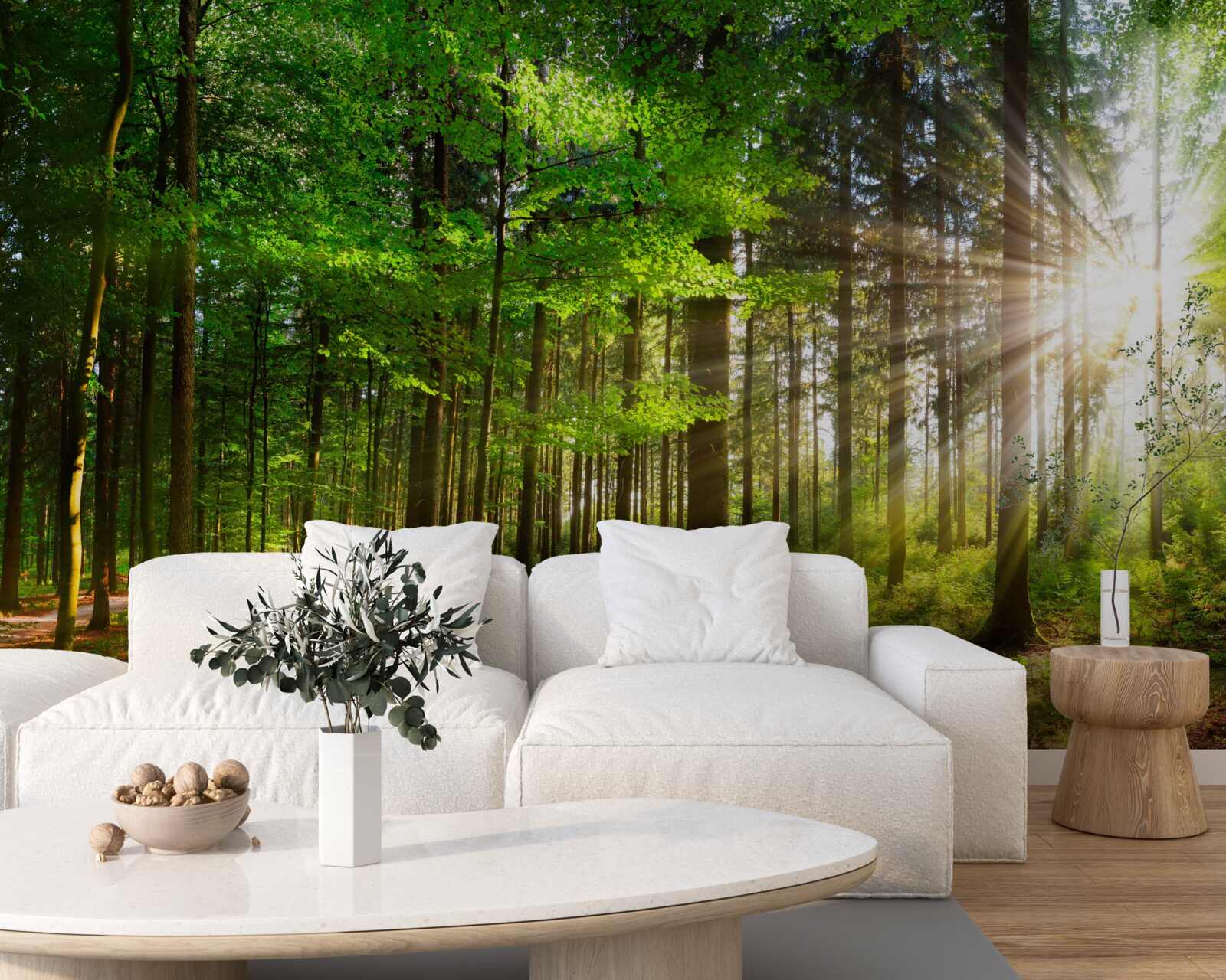 Fotobehang felle zon in een bos bedekt met groene bladeren