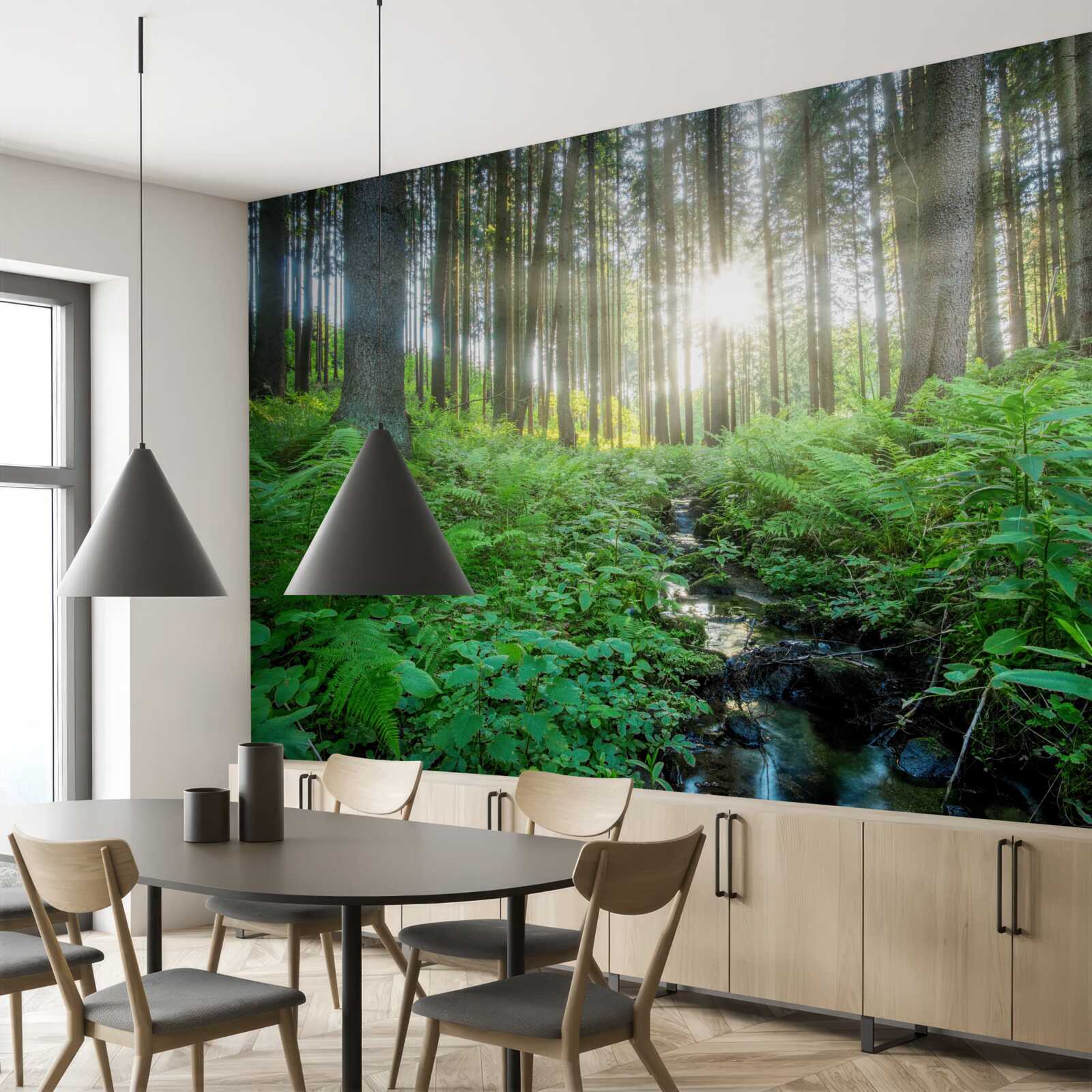 Fotobehang de zonnestralen dringen door het dichte bos