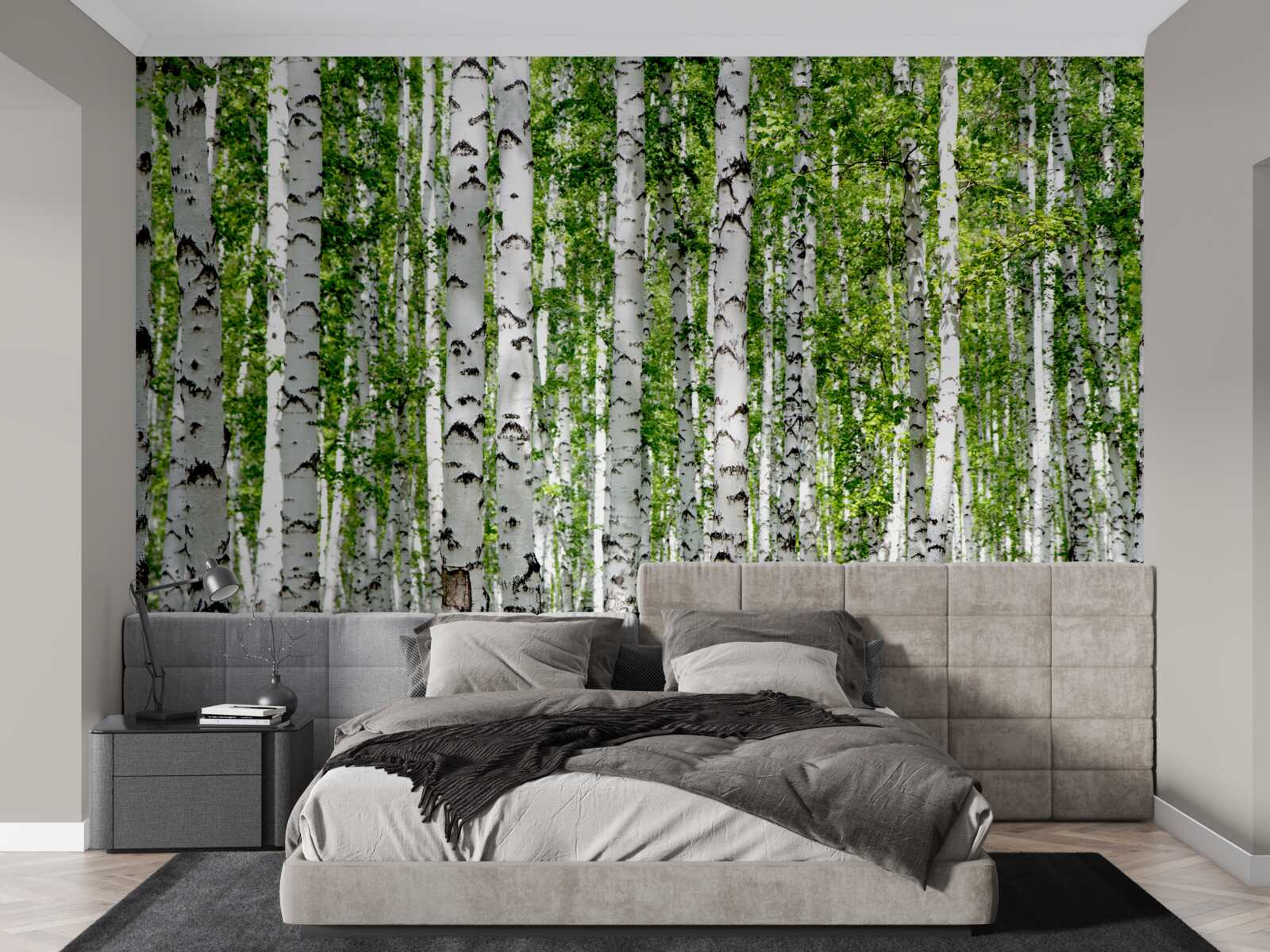 Fotobehang heldere bladeren van sierlijke berken