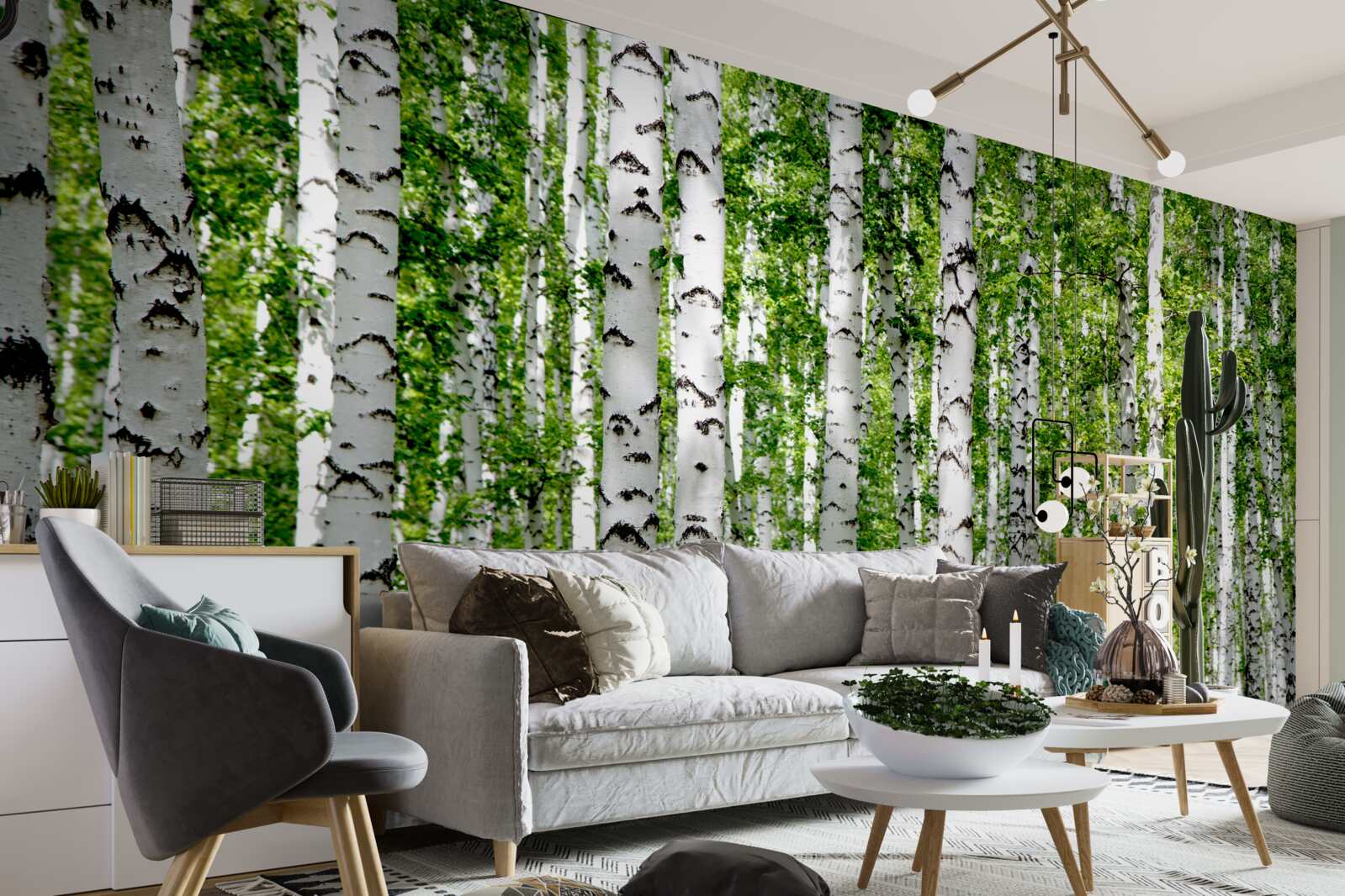 Fotobehang heldere bladeren van sierlijke berken