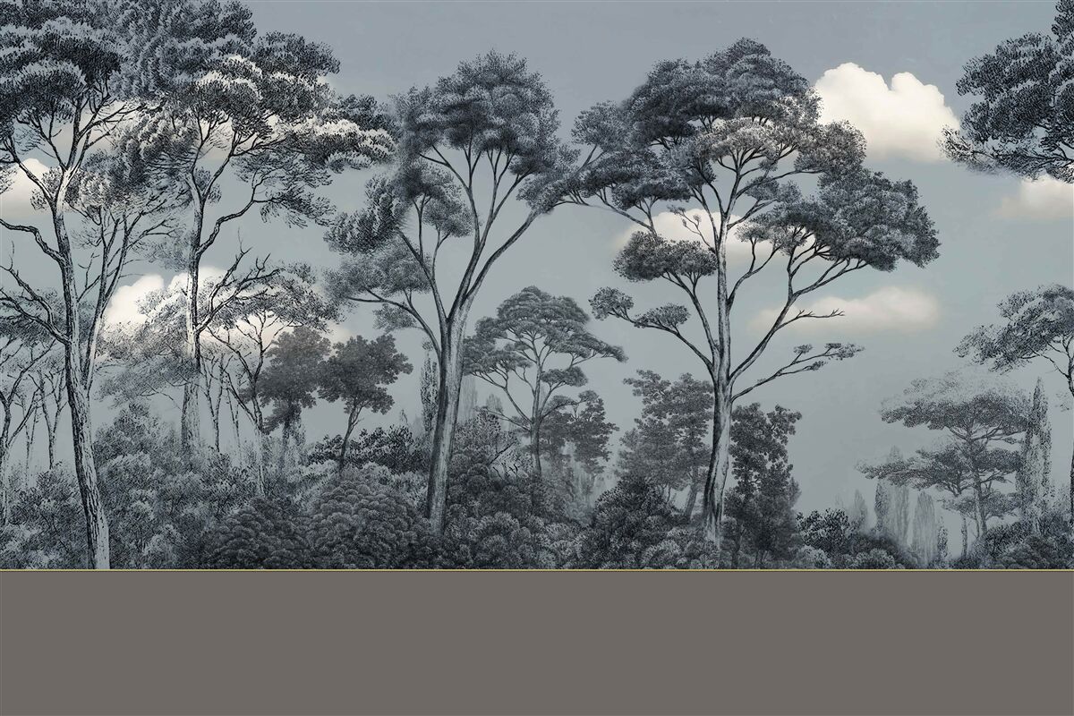 Fotobehang het bos stort zich in de komende nacht