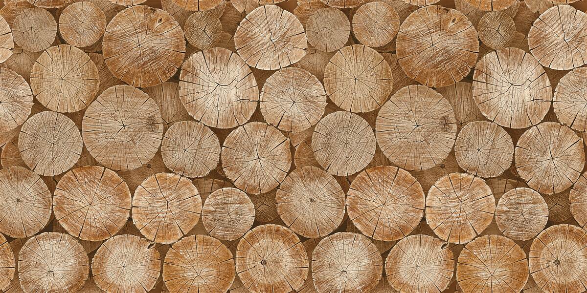 Fotobehang stapel geoogst brandhout