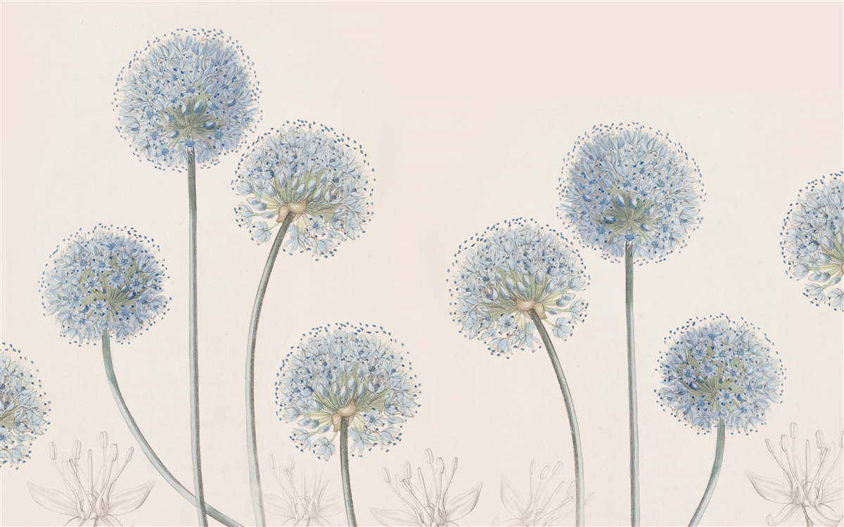 Fotobehang toppen van sierlijke agave bomen