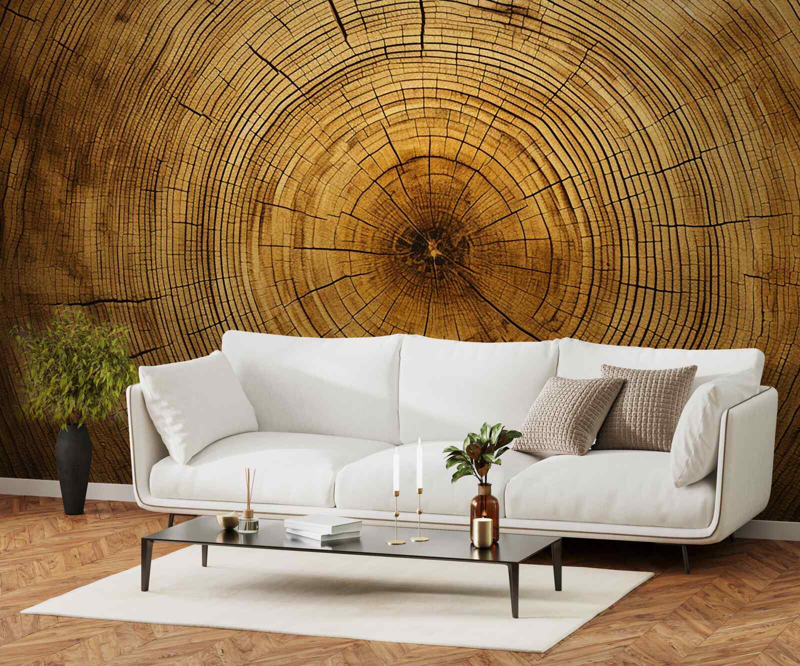 Fotobehang fragmenten van een boompilaar rijk aan eeuwenoude lagen