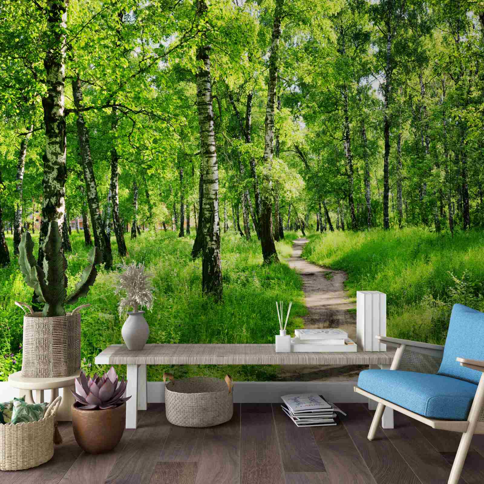 Fotobehang Pad door een berkenbos